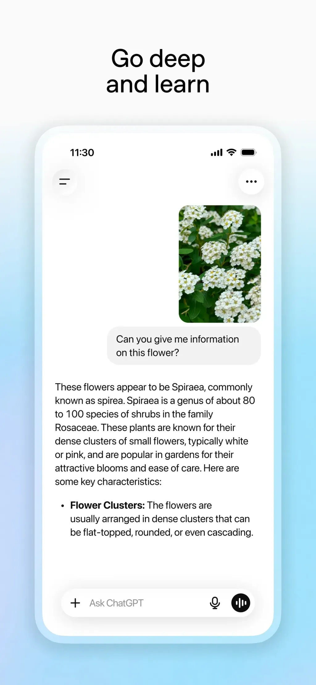 ChatGPT App Store screenshot 6