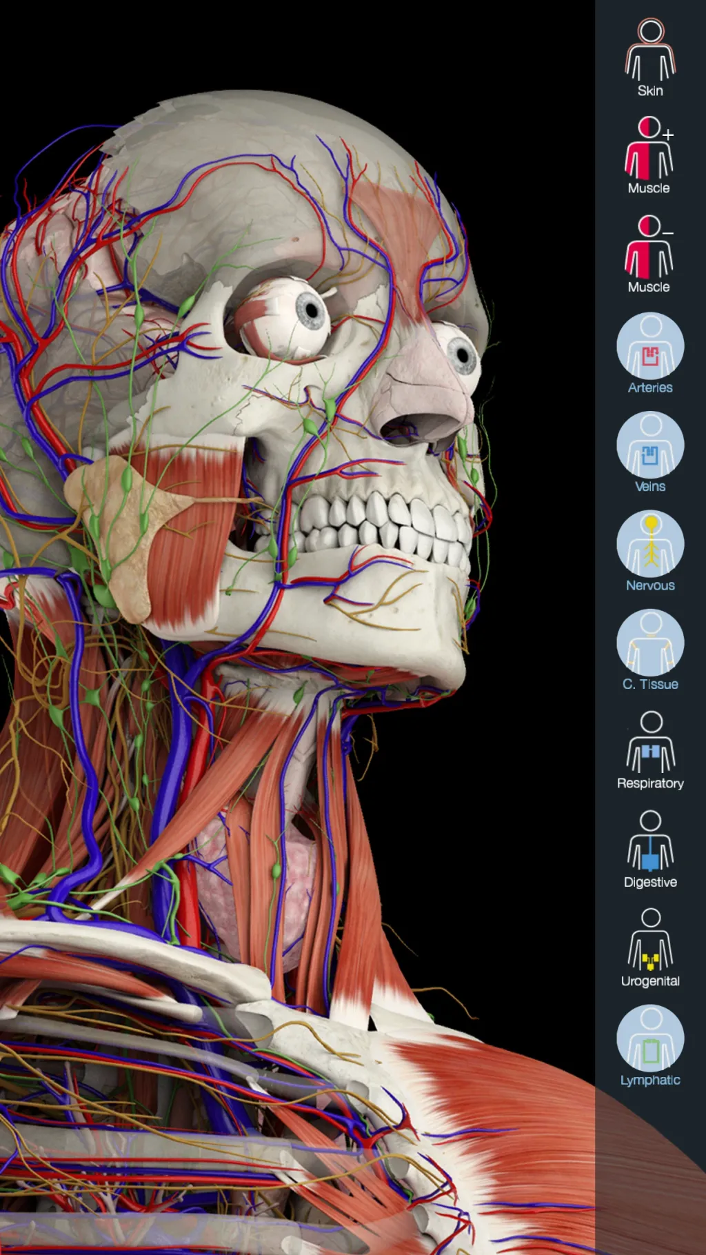 Essential Anatomy 5 screenshot 4