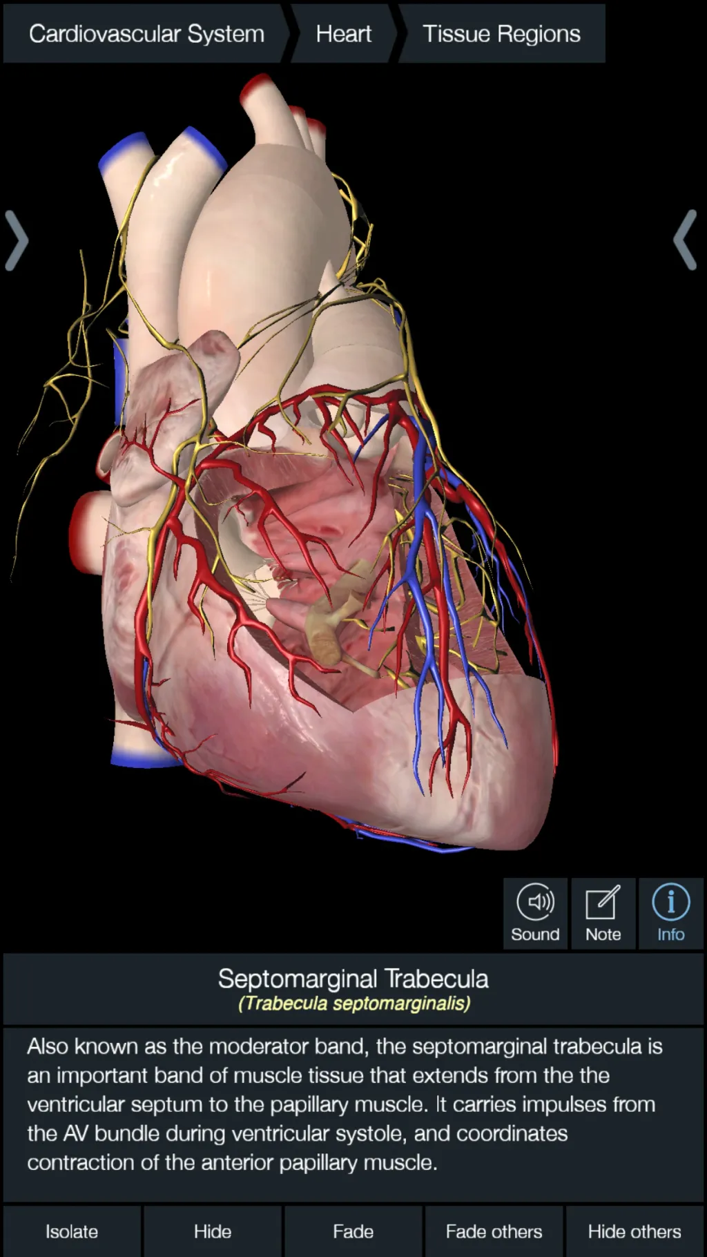 Essential Anatomy 5 App Store screenshot 5