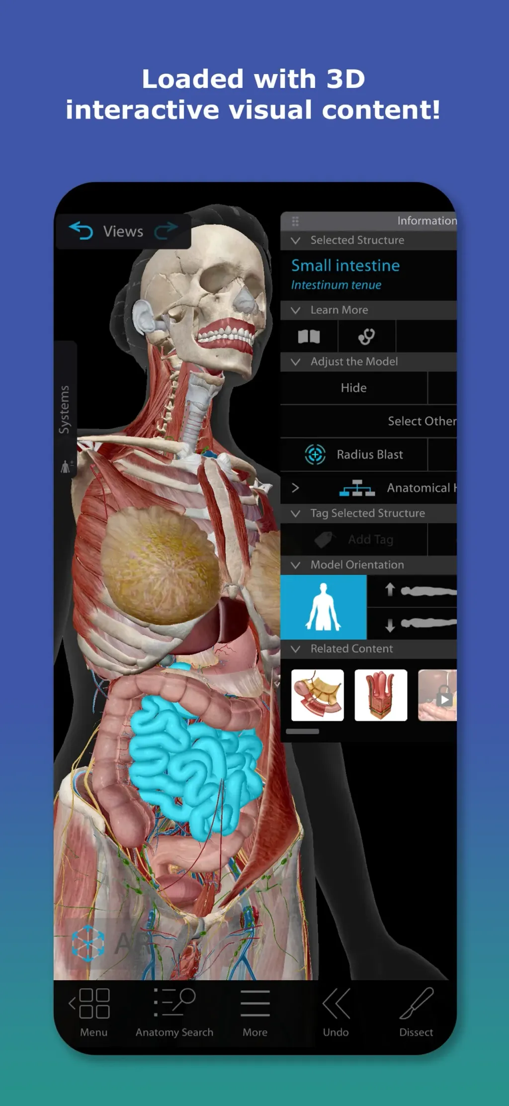 Human Anatomy Atlas 2026 screenshot 2