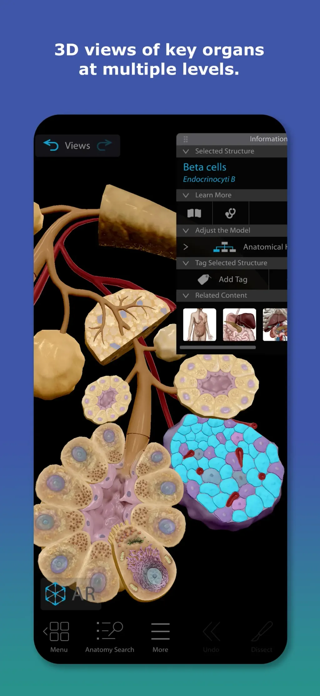 Human Anatomy Atlas 2026 App Store screenshot 2