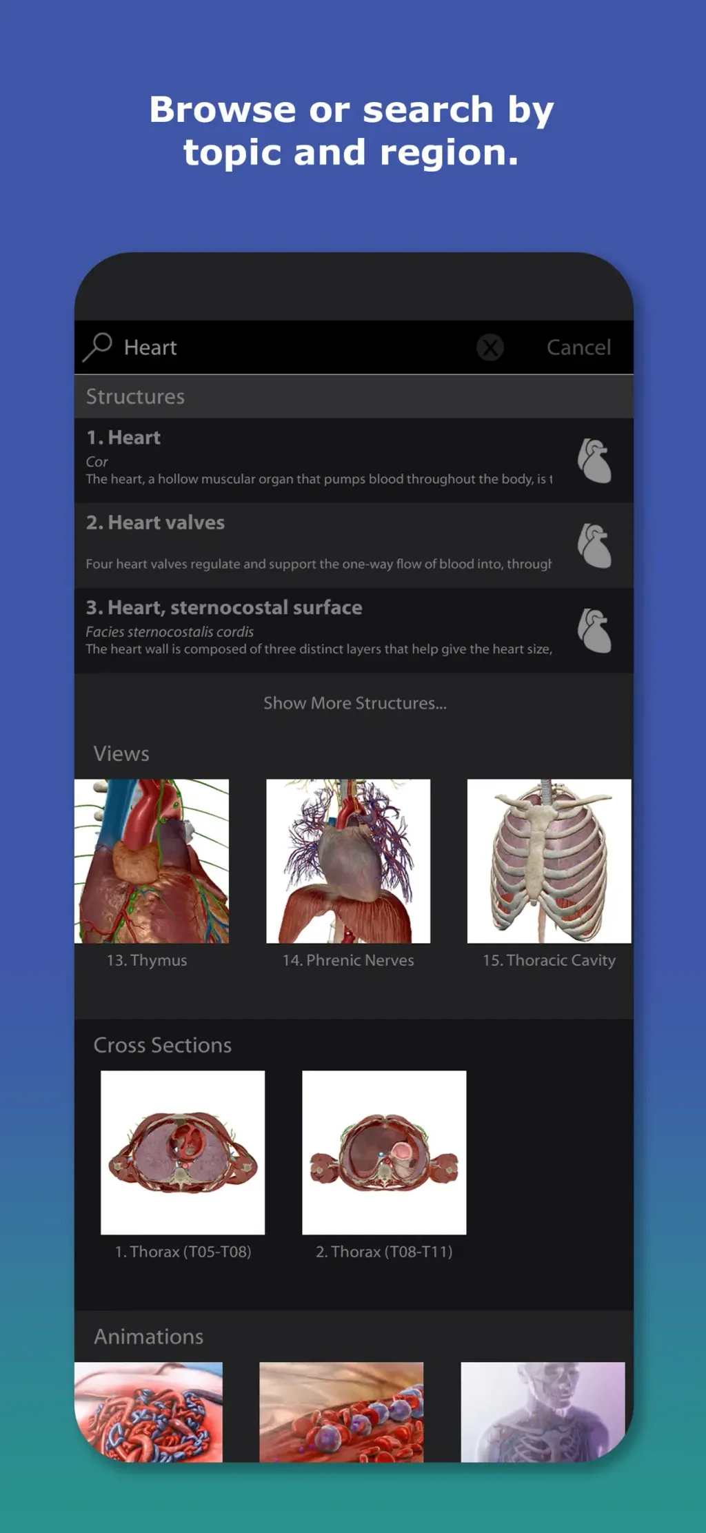 Human Anatomy Atlas 2026 App Store screenshot 4