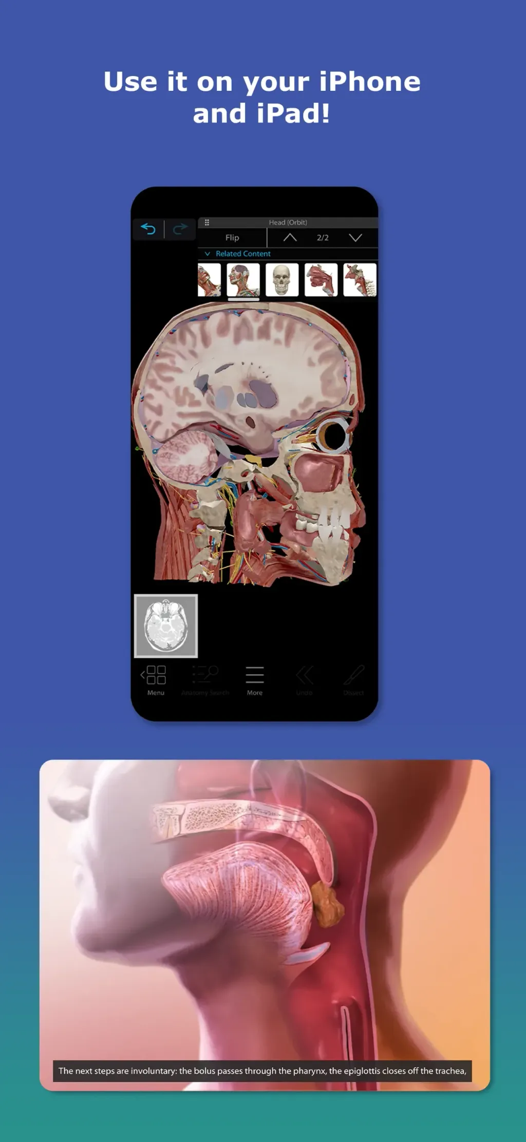 Human Anatomy Atlas 2026 screenshot 4