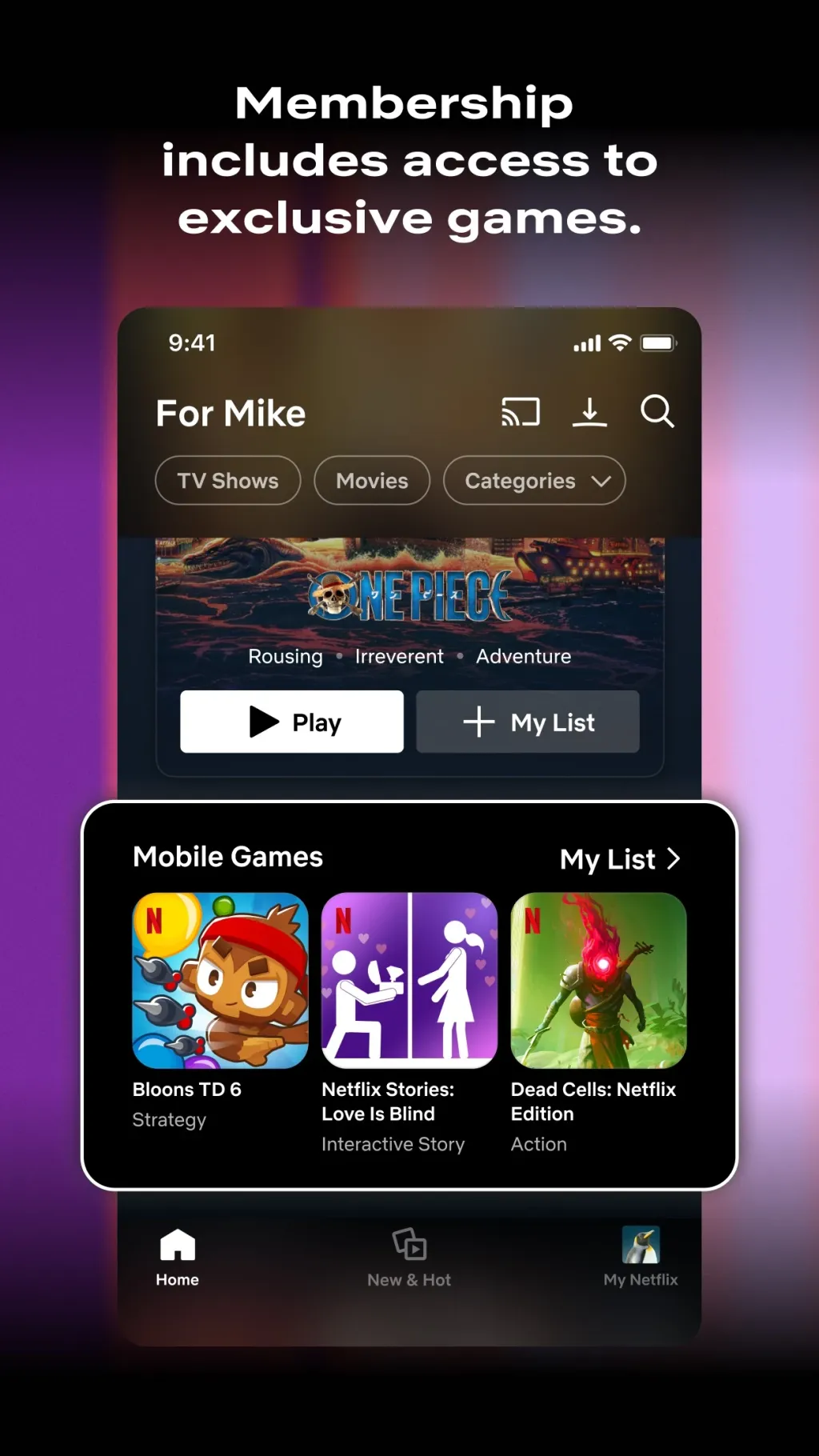 Netflix screenshot 1