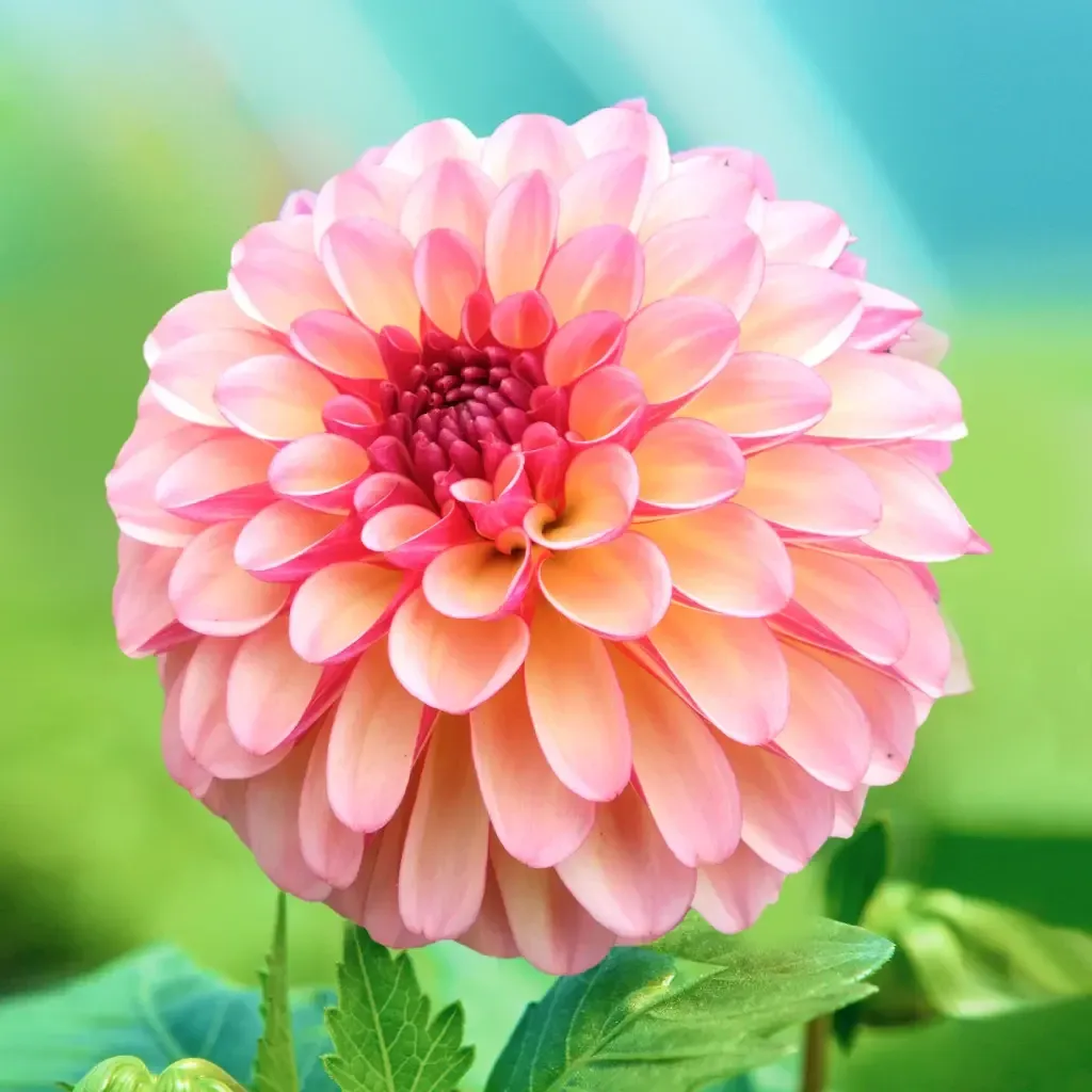 PictureThis - Plant Identifier App Store screenshot 2