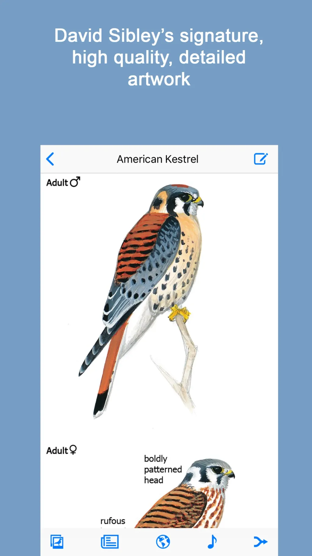 Sibley Birds 2nd Edition App Store screenshot 2