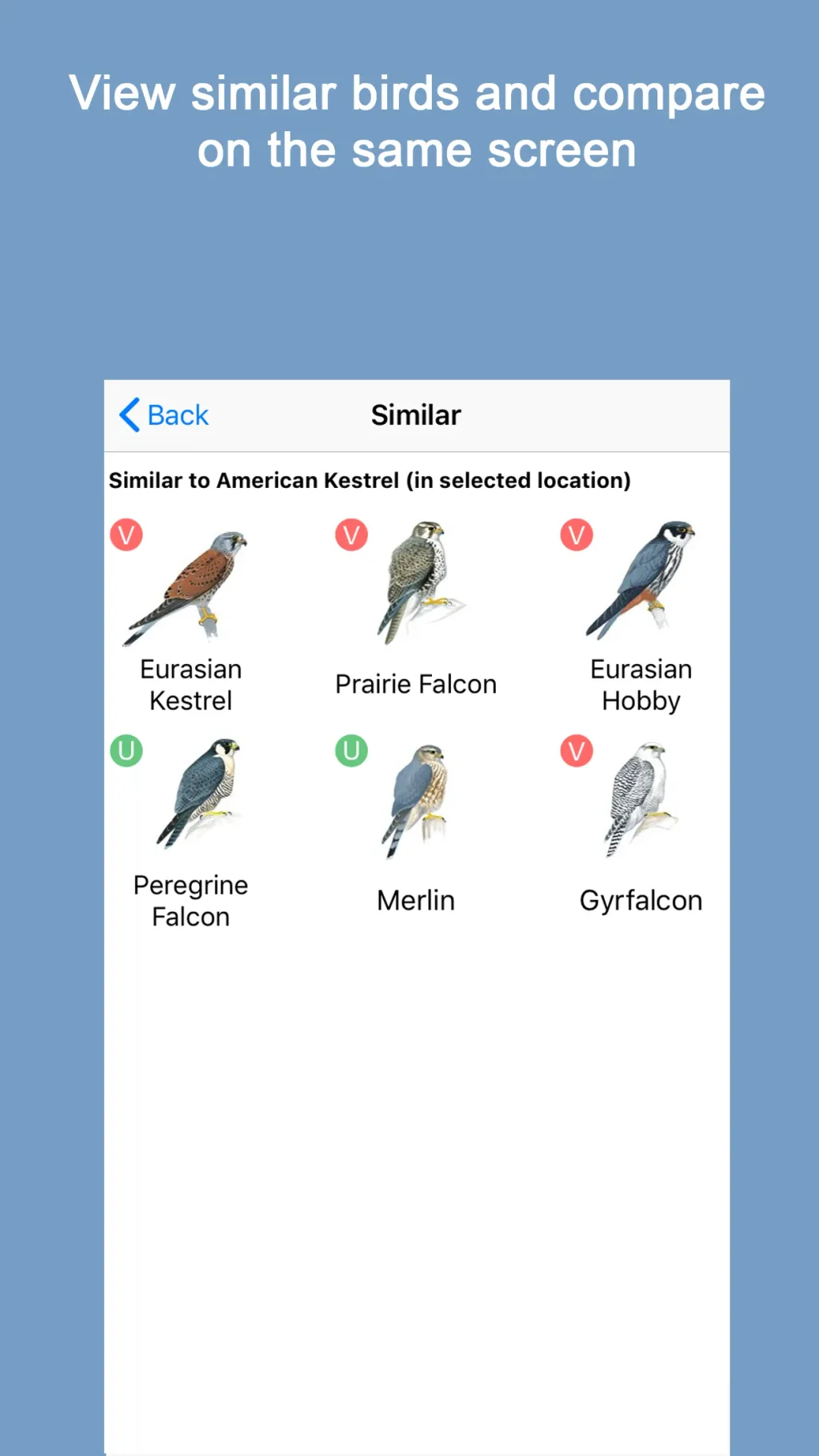 Sibley Birds 2nd Edition App Store screenshot 5