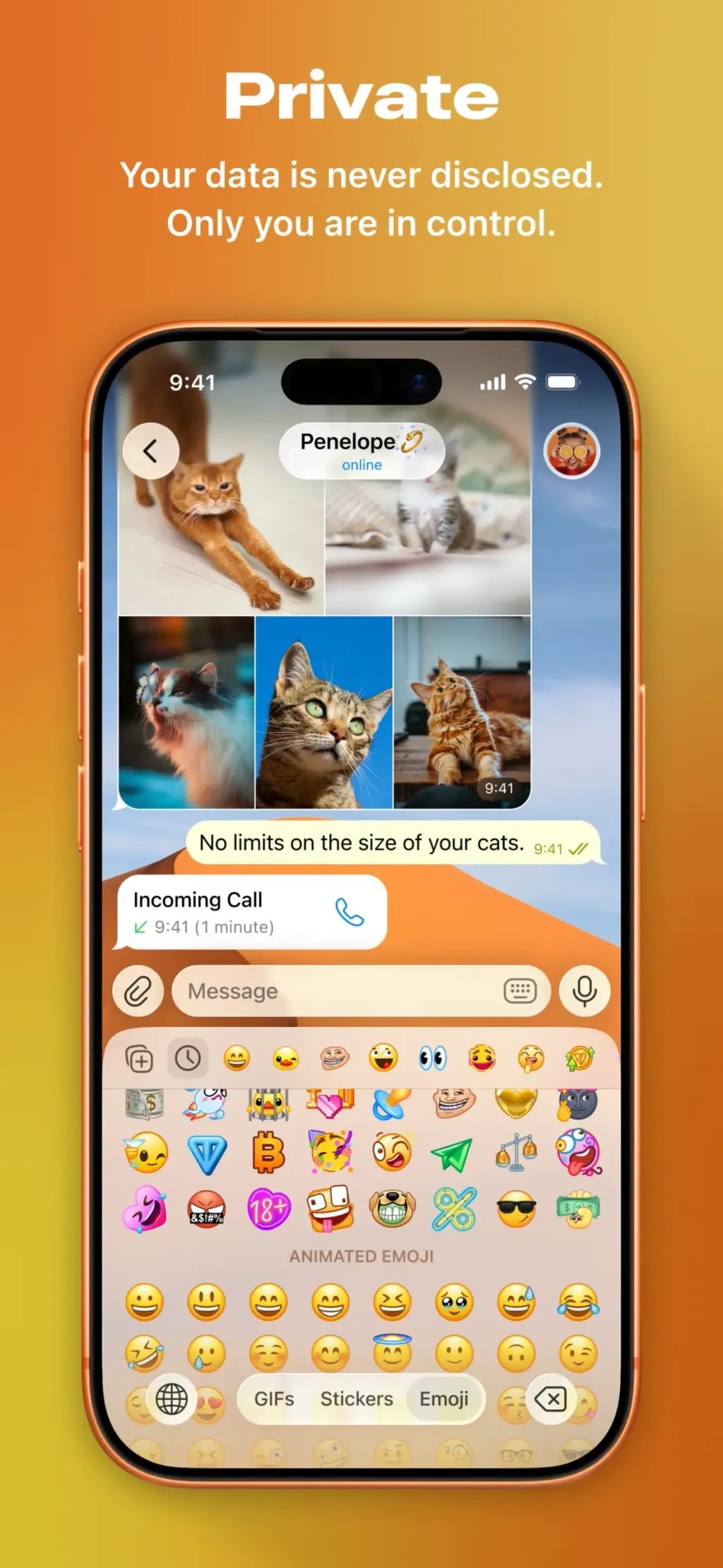 Telegram Messenger screenshot 6