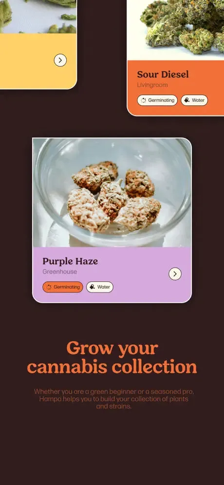 Hampa App Store screenshot 3