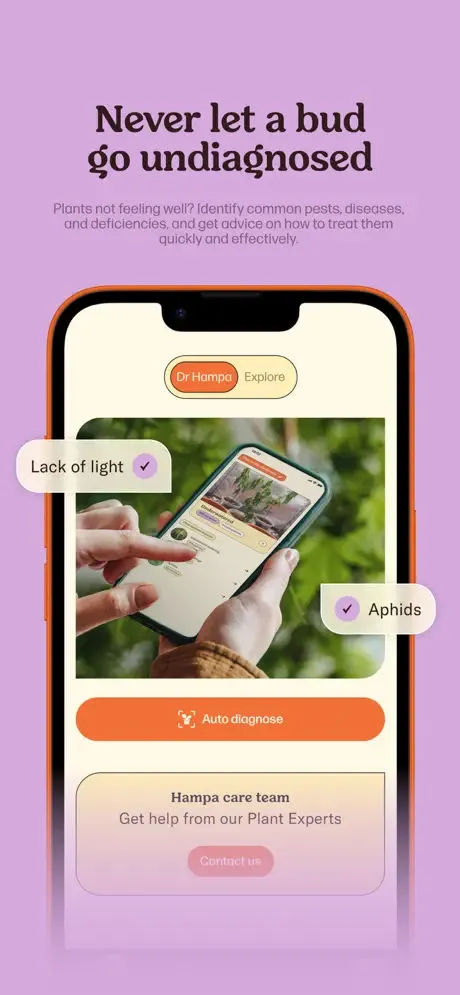 Hampa App Store screenshot 4