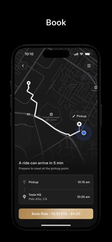 Tesla Robotaxi App Store screenshot 1