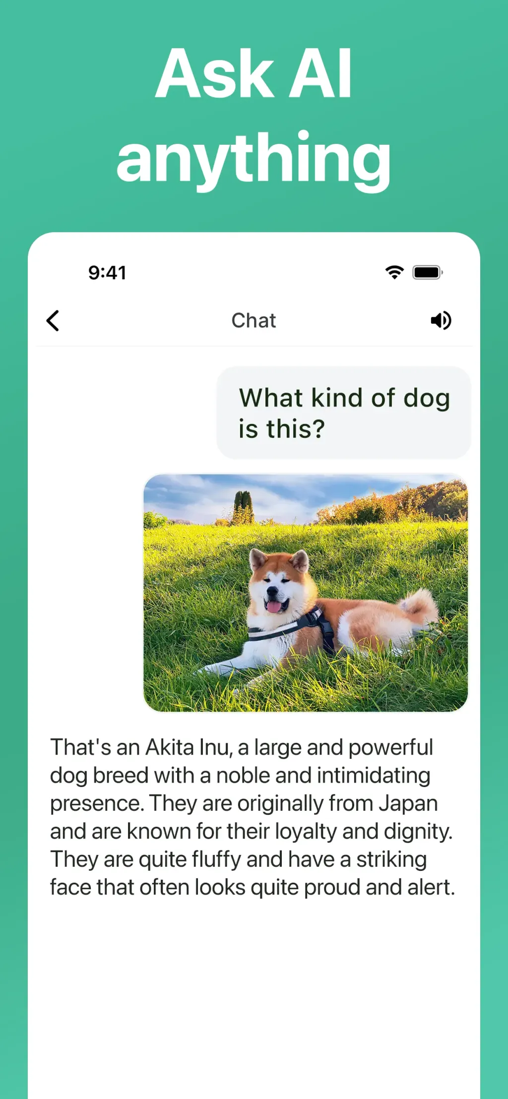 AI Chat 5.5: Genius App Store screenshot 2