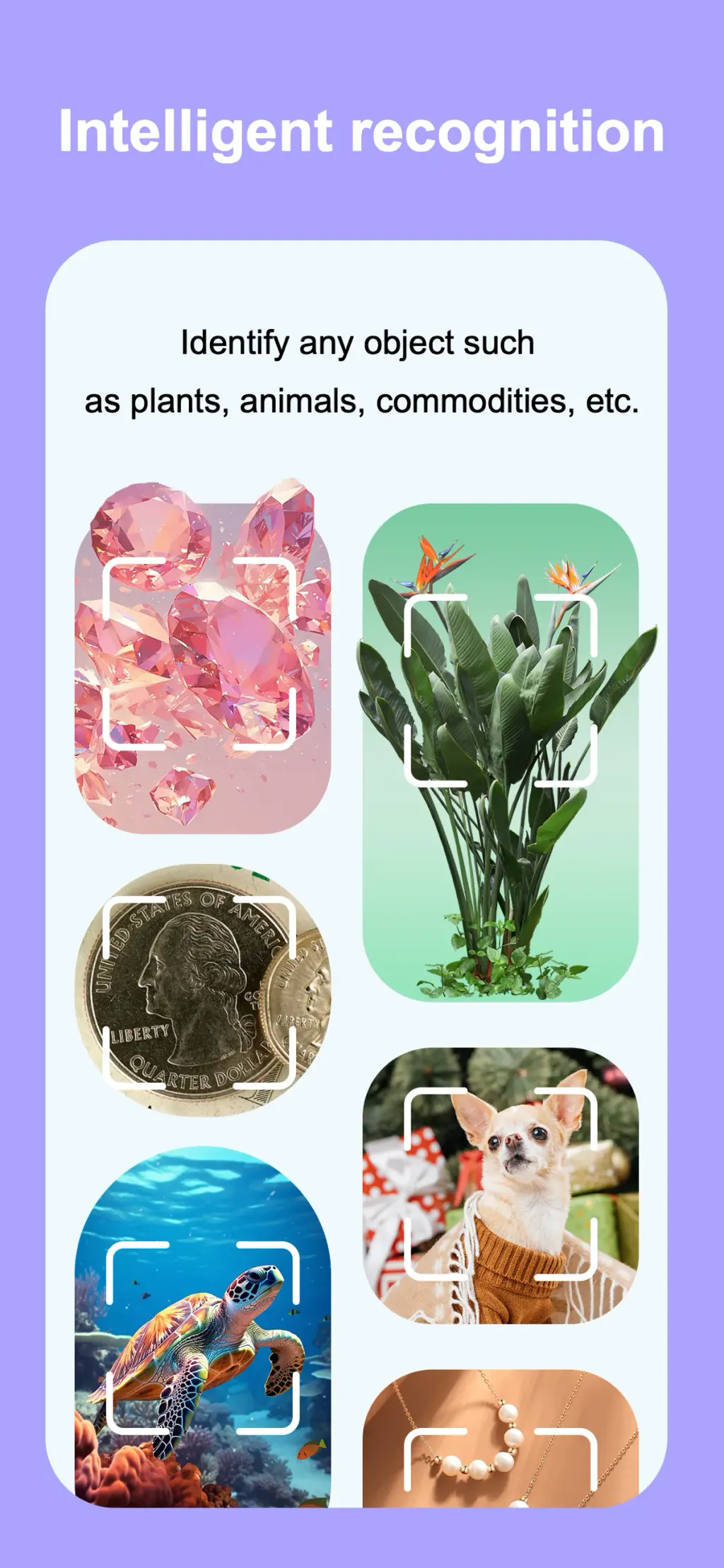 SnapAI: Scan Anything App Store screenshot 1