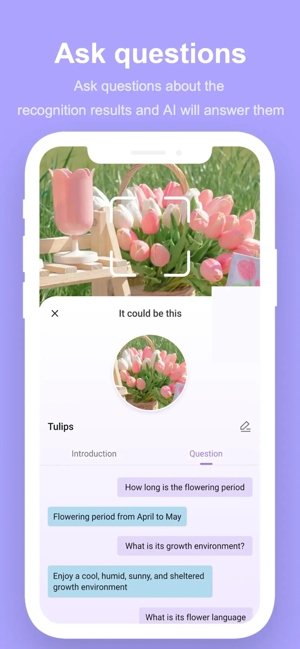 SnapAI: Scan Anything App Store screenshot 3