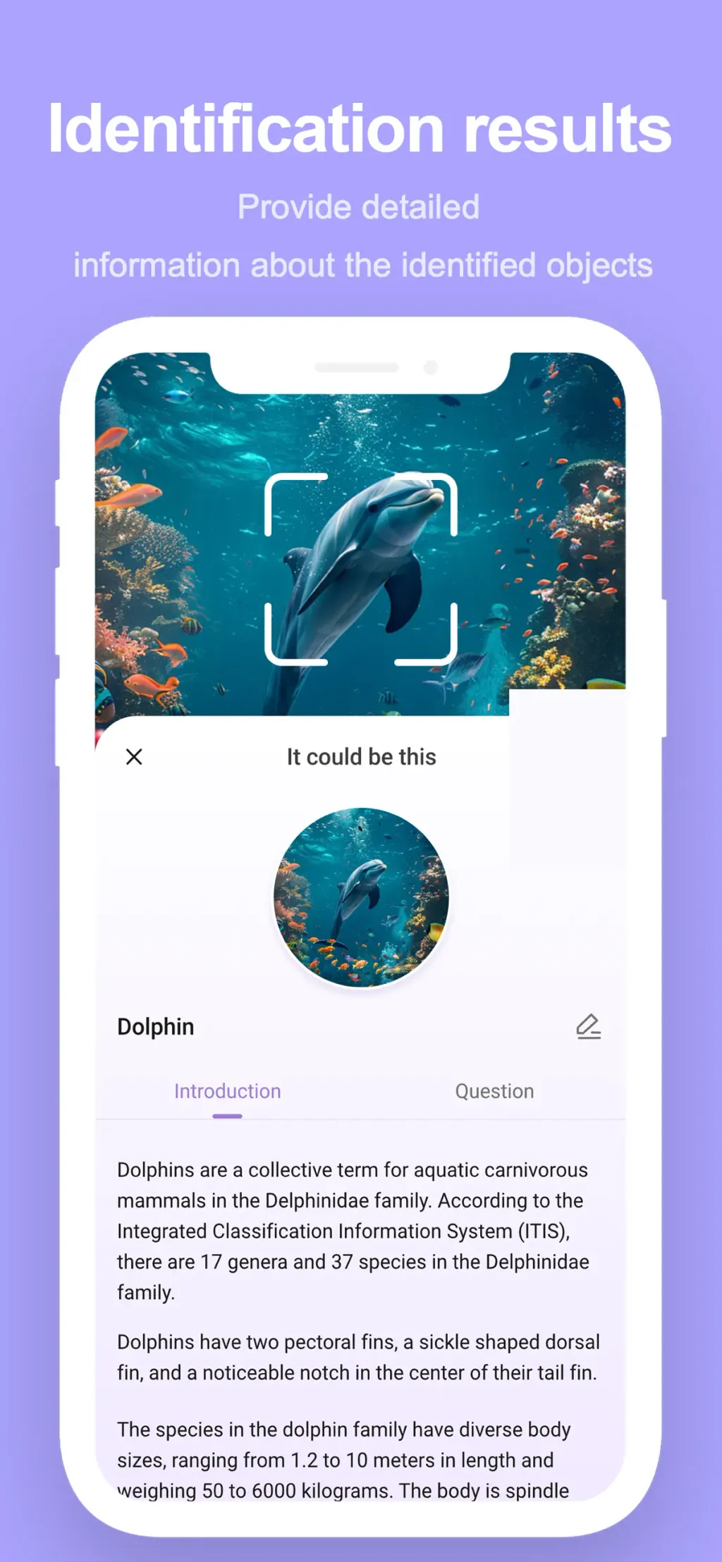 SnapAI: Scan Anything App Store screenshot 4