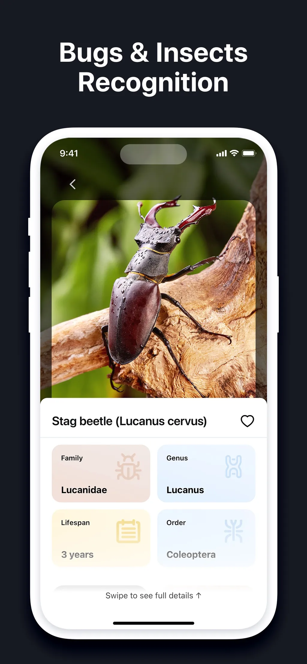 Lens AI & Identifier・EveryScan App Store screenshot 6