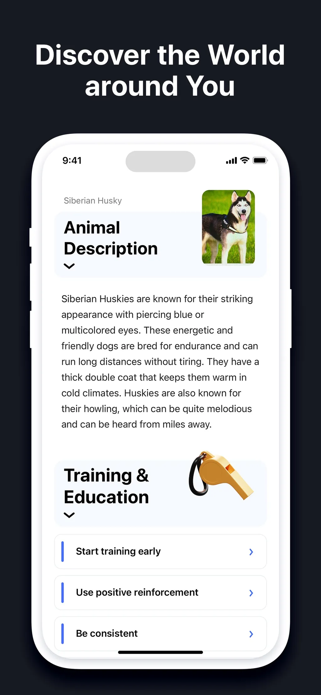 Lens AI & Identifier・EveryScan App Store screenshot 7