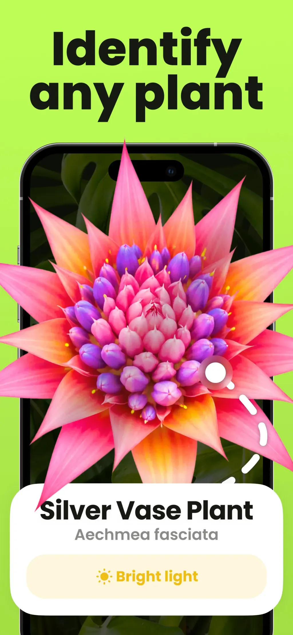Plant Identifier & Care: Ficus App Store screenshot 1
