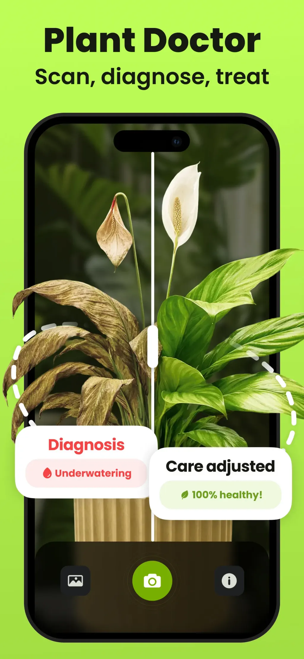 Plant Identifier & Care: Ficus App Store screenshot 2