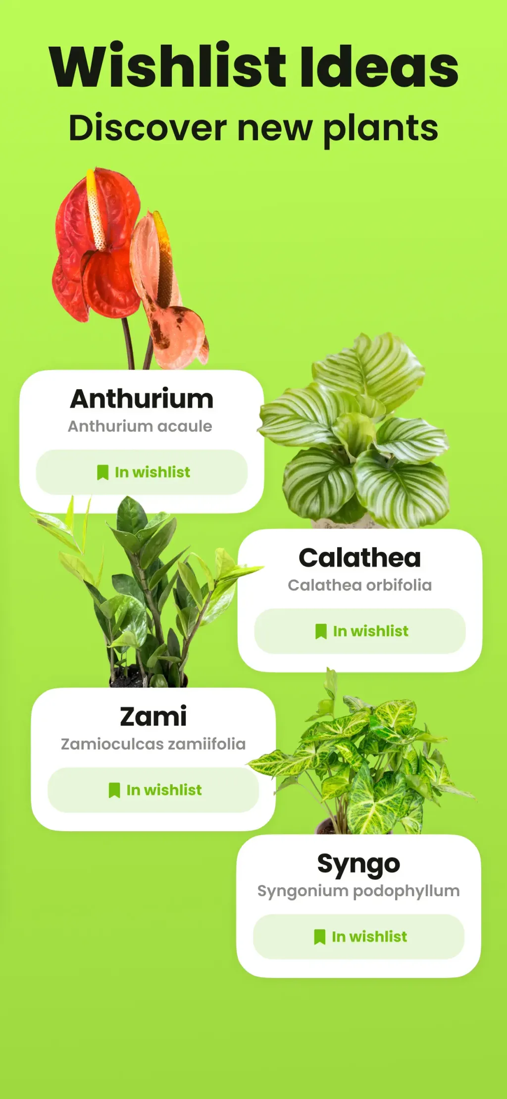 Plant Identifier & Care: Ficus App Store screenshot 8