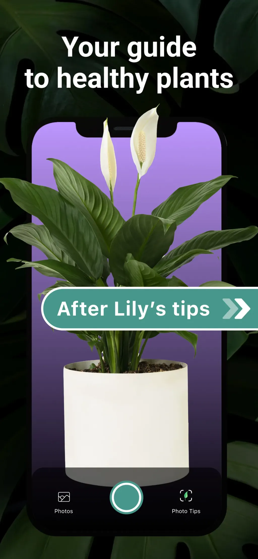 AI Plant Identifier・Care-Lily App Store screenshot 3