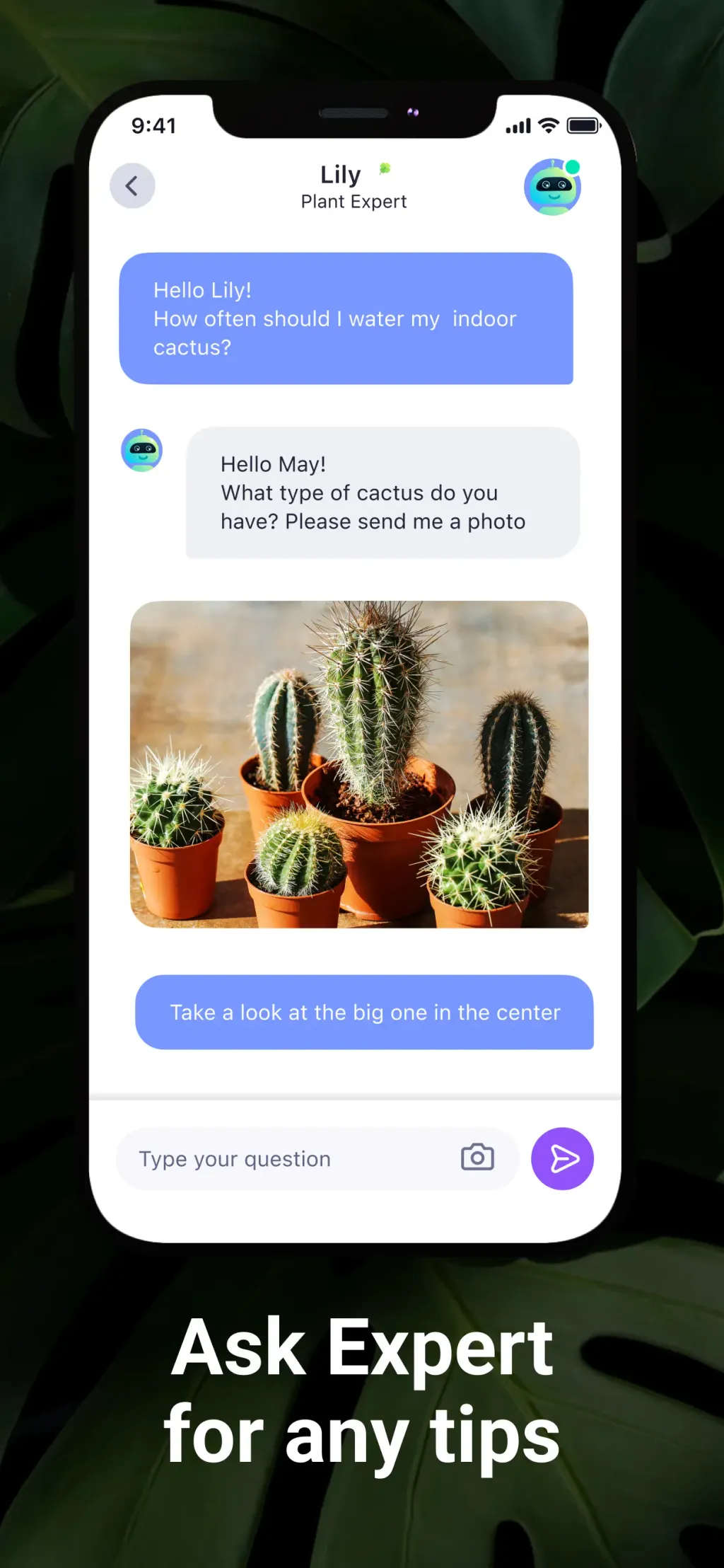 AI Plant Identifier・Care-Lily App Store screenshot 4