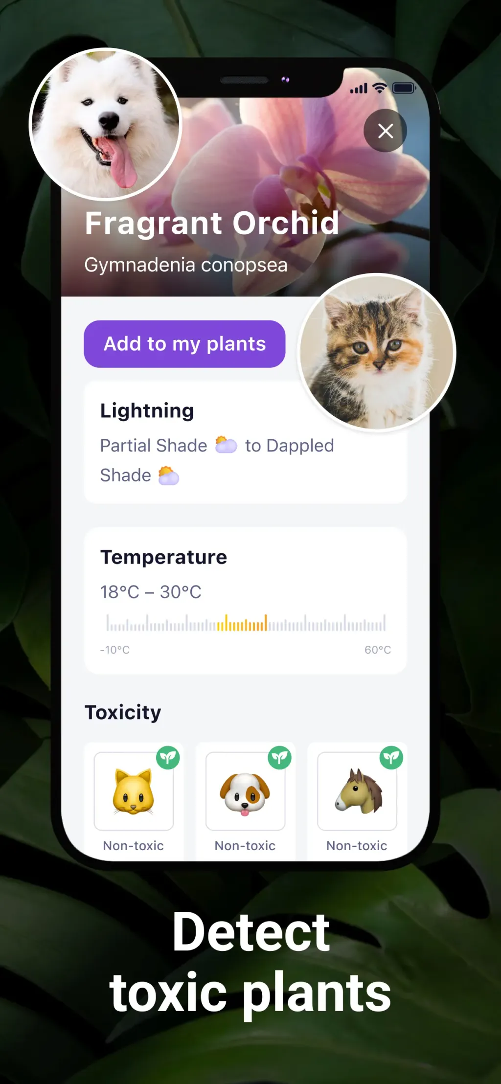 AI Plant Identifier・Care-Lily App Store screenshot 6