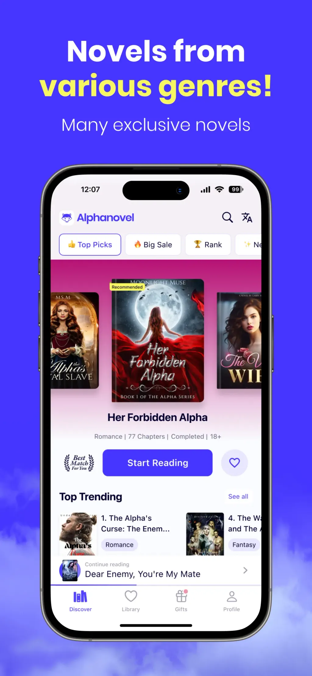 AlphaNovel - Novels & Stories screenshot 1