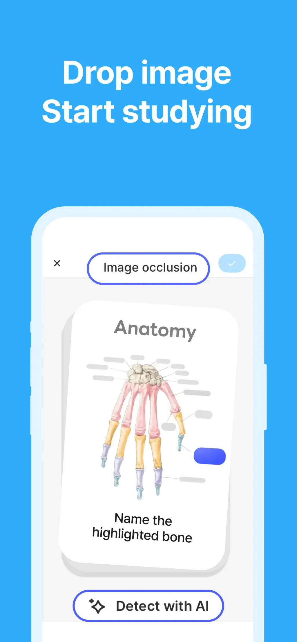Noji - Flashcards study app screenshot 1