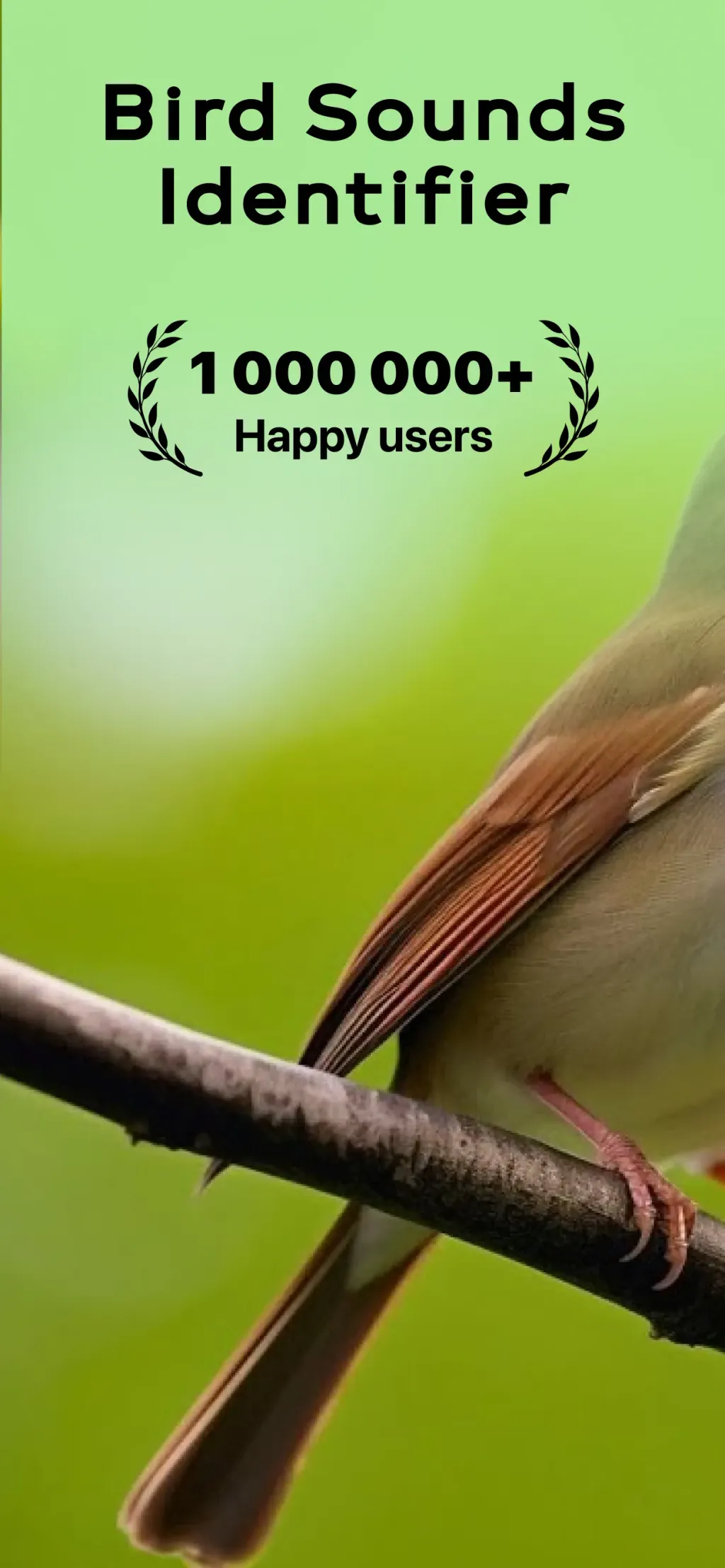 Bird Sounds Identifier Call ID screenshot 5