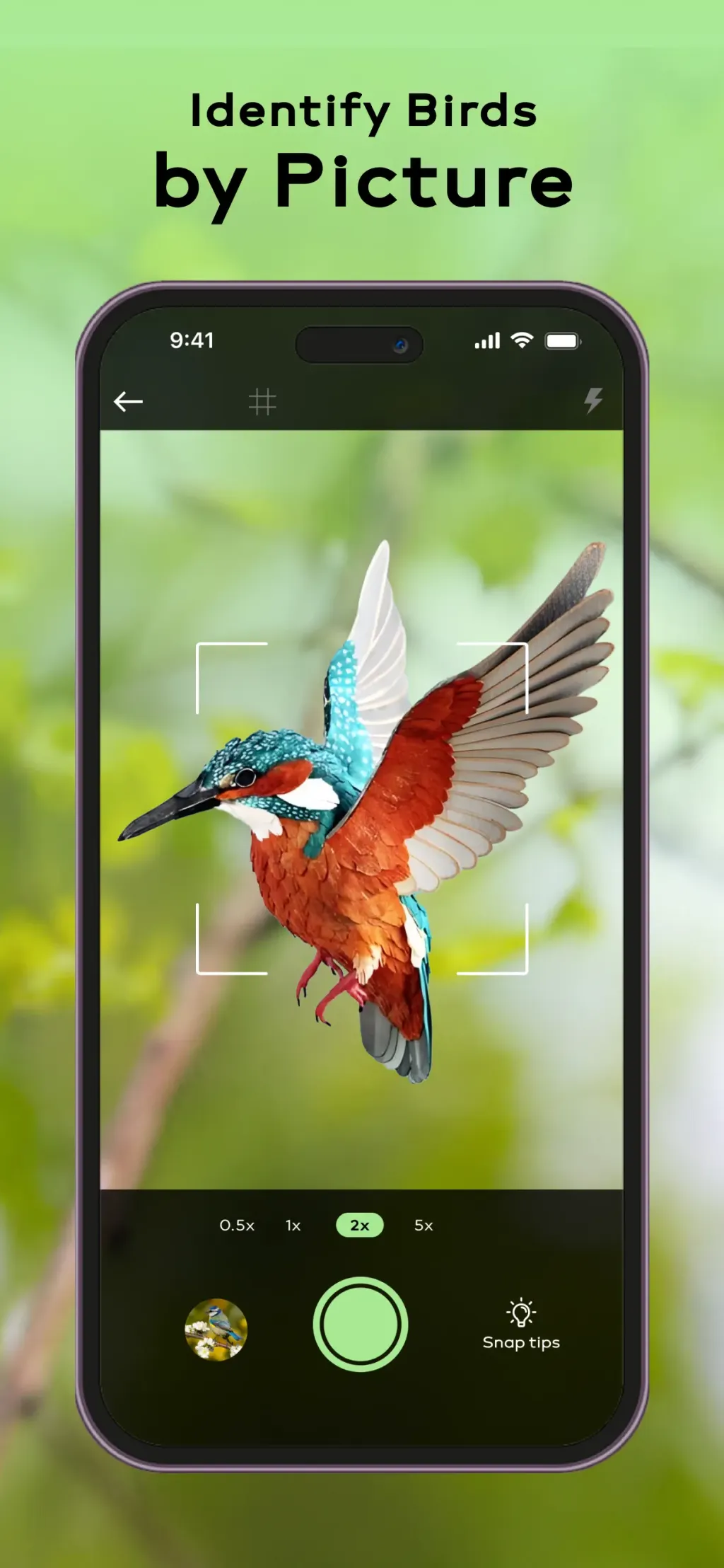 Bird Sounds Identifier Call ID screenshot 1