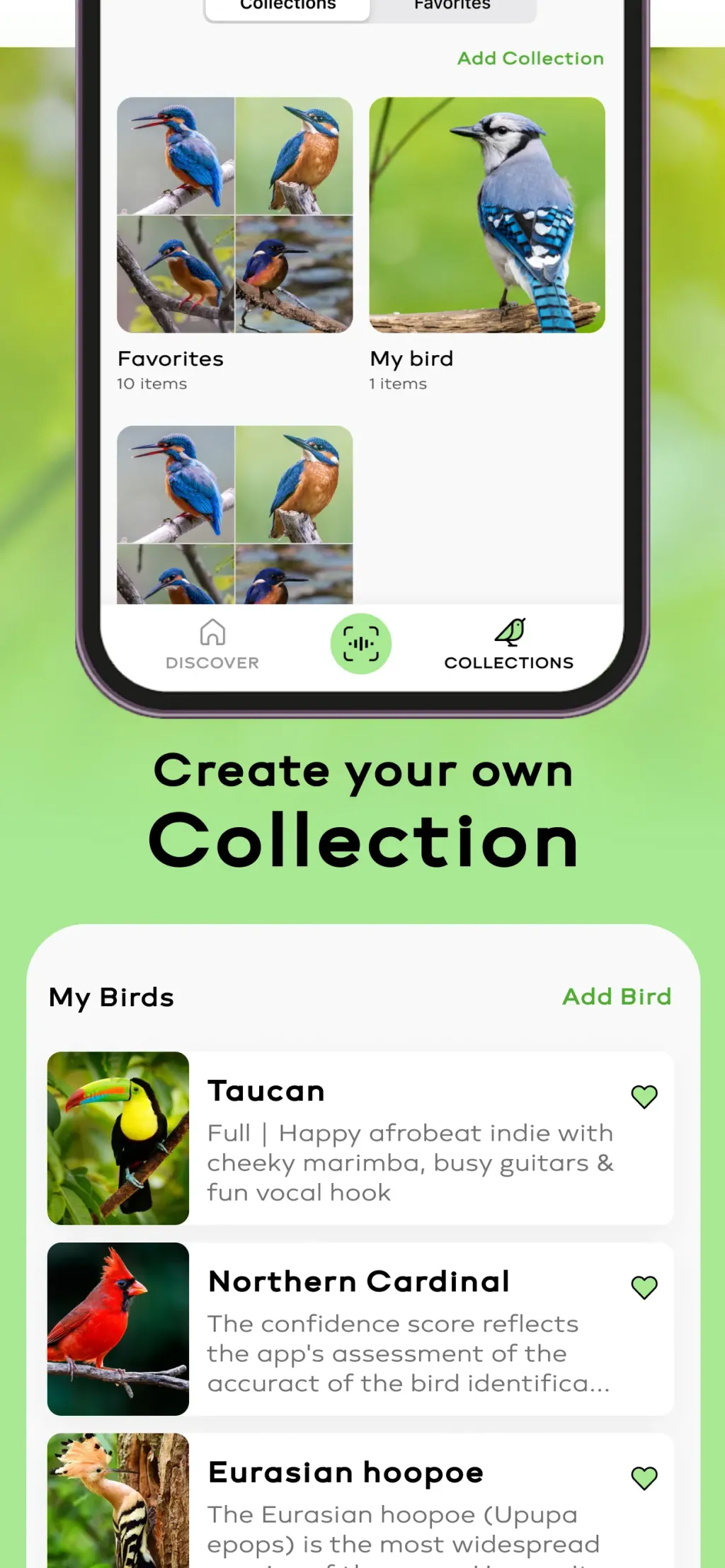 Bird Sounds Identifier Call ID screenshot 4
