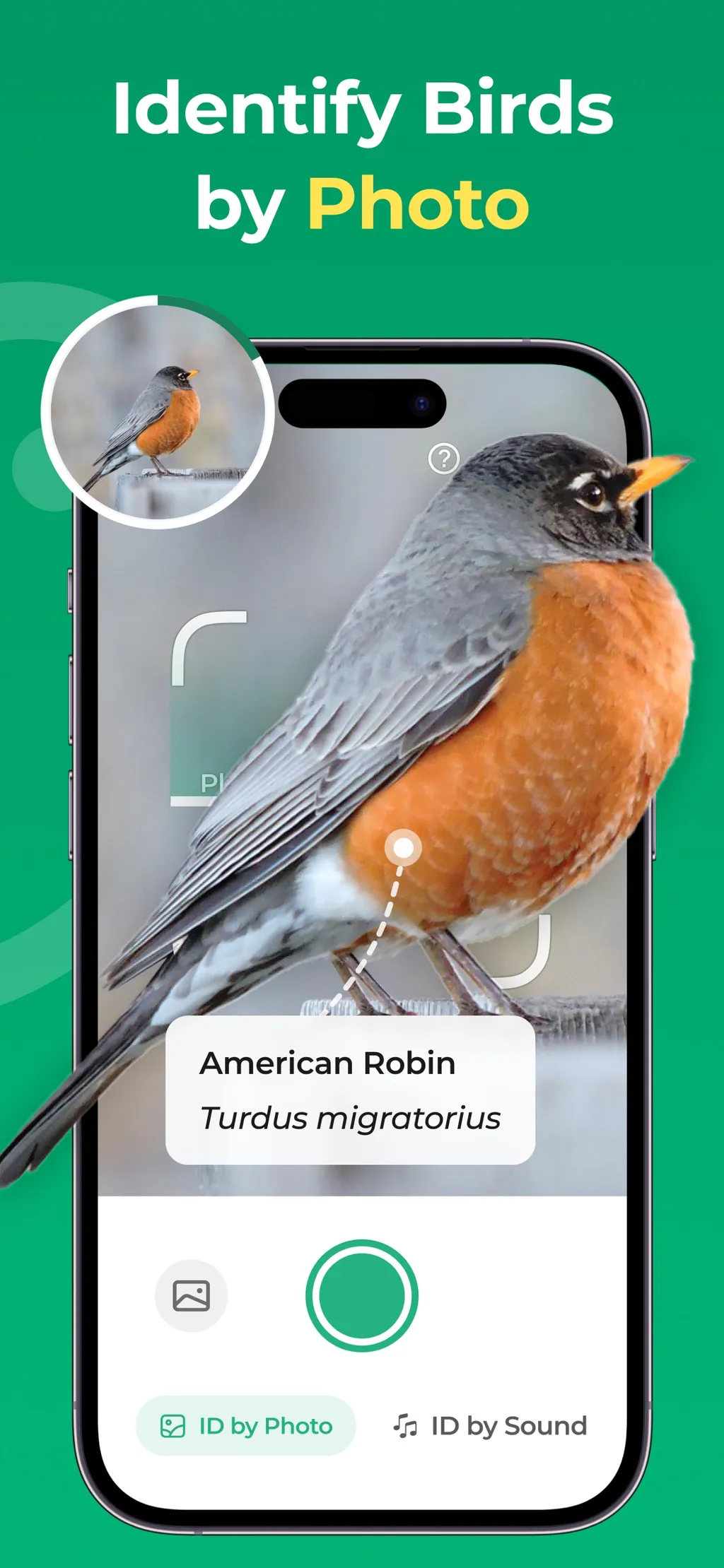 Bird Identifier: BirdScope App Store screenshot 1