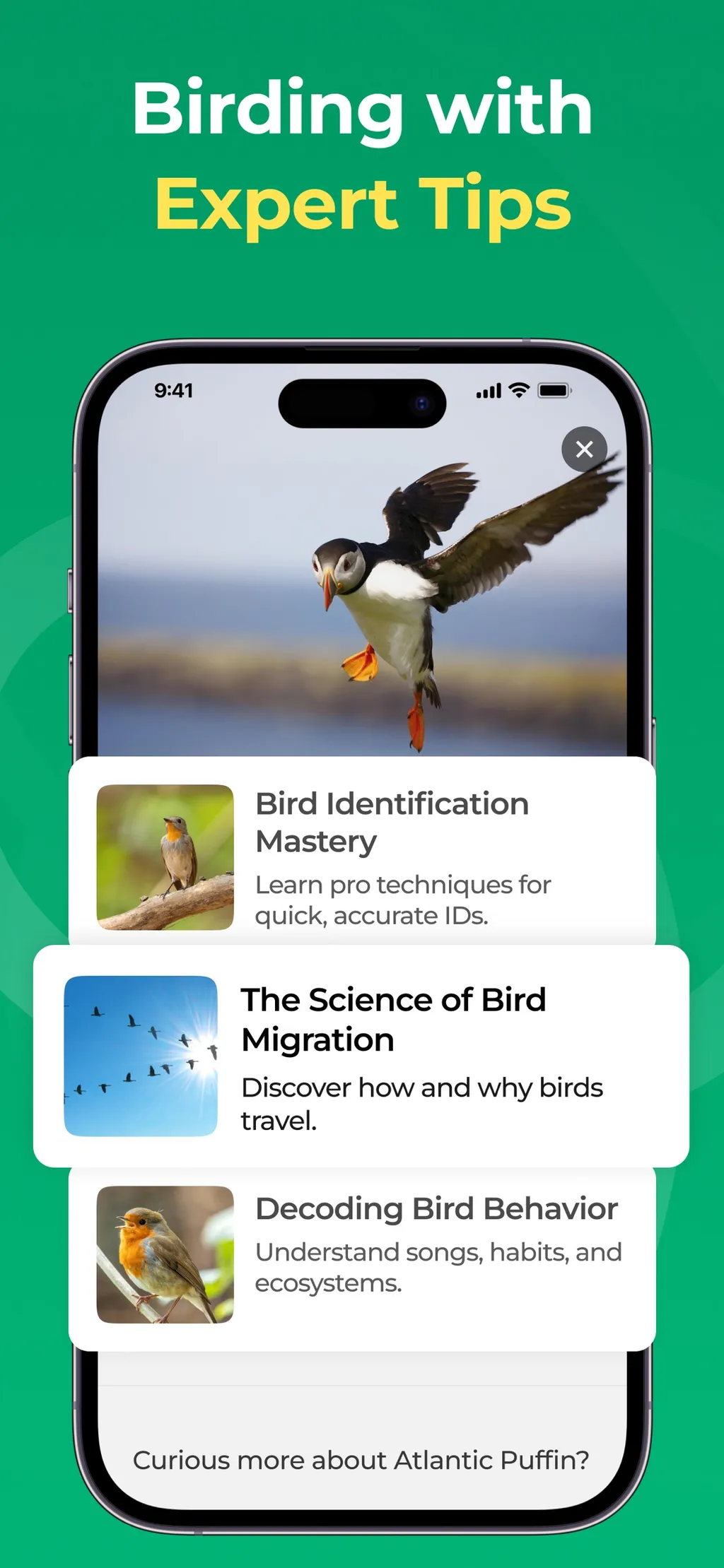 Bird Identifier: BirdScope App Store screenshot 3