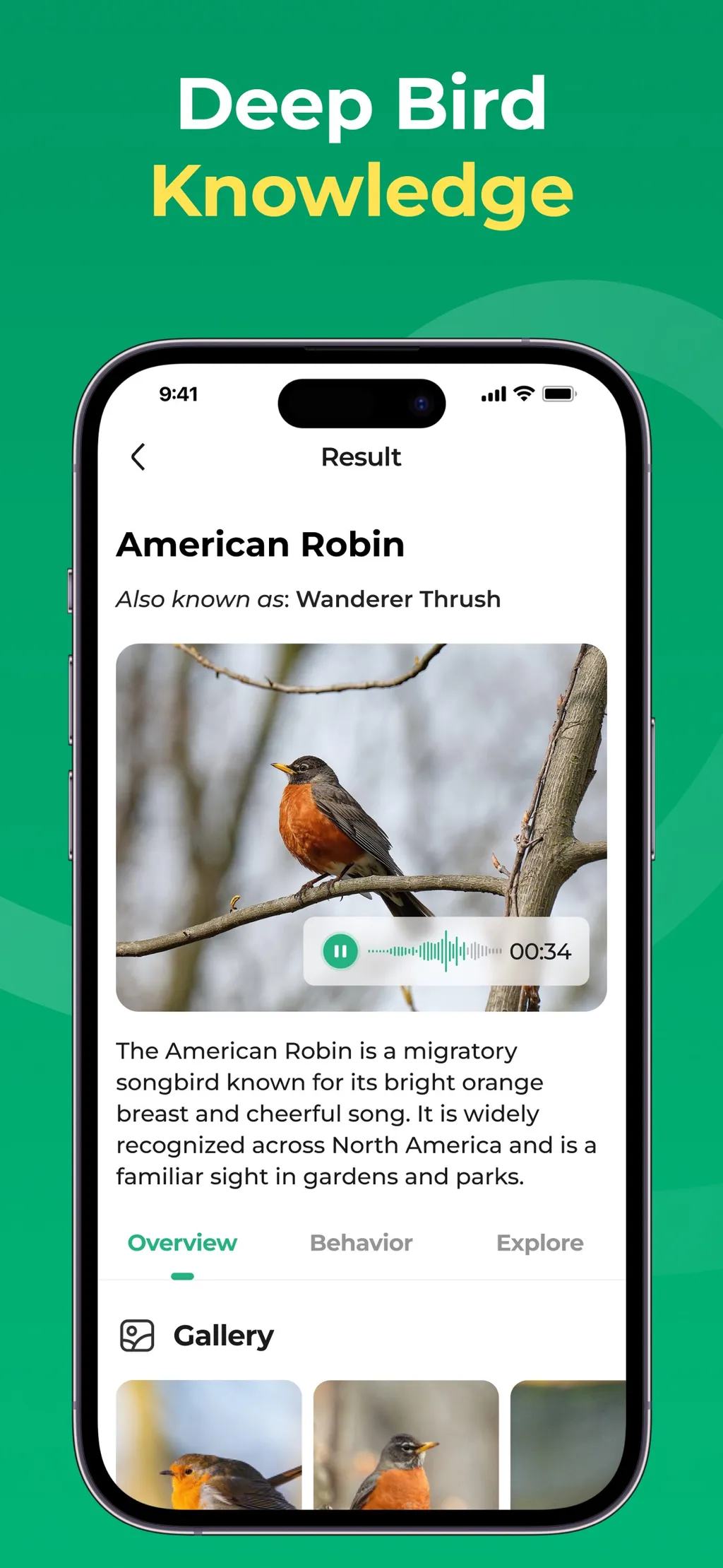 Bird Identifier: BirdScope App Store screenshot 4