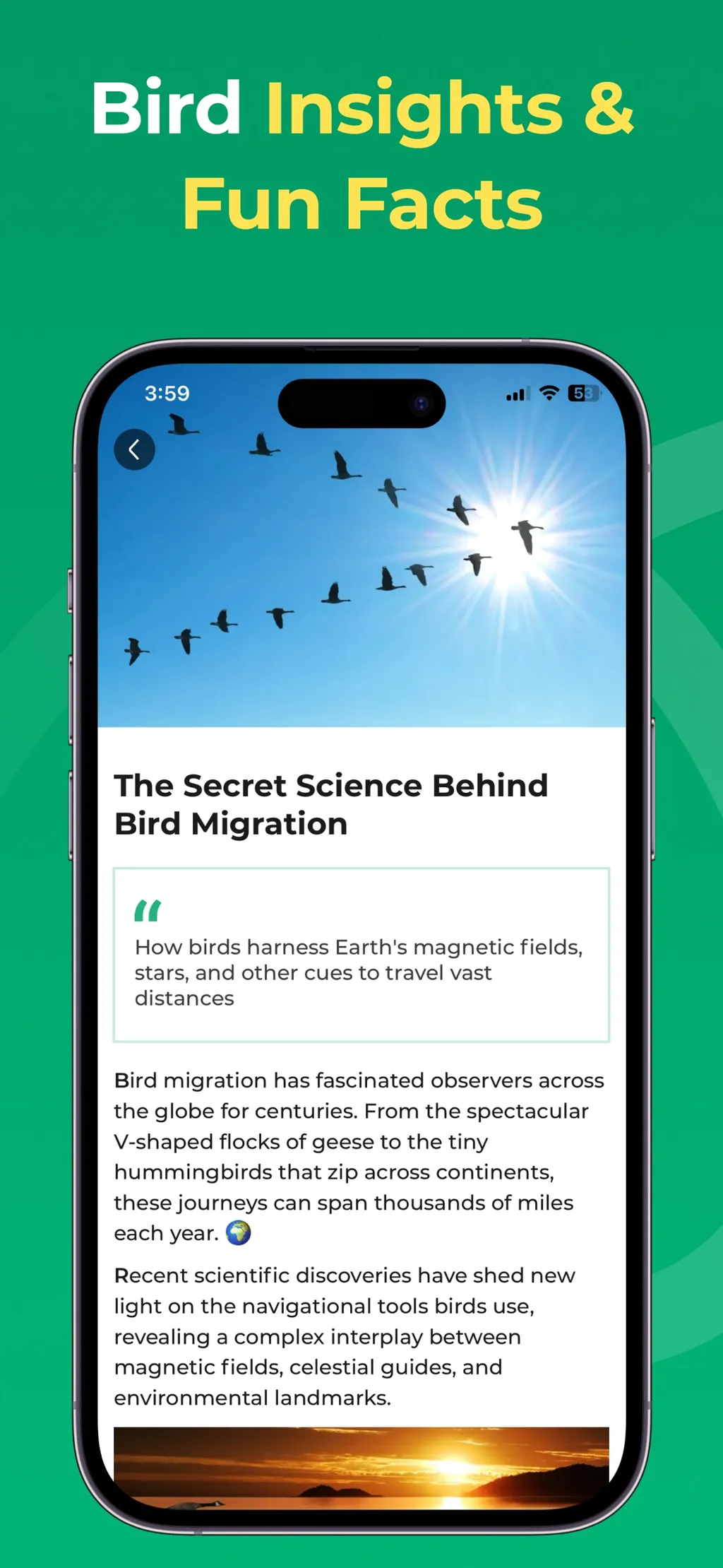 Bird Identifier: BirdScope App Store screenshot 5