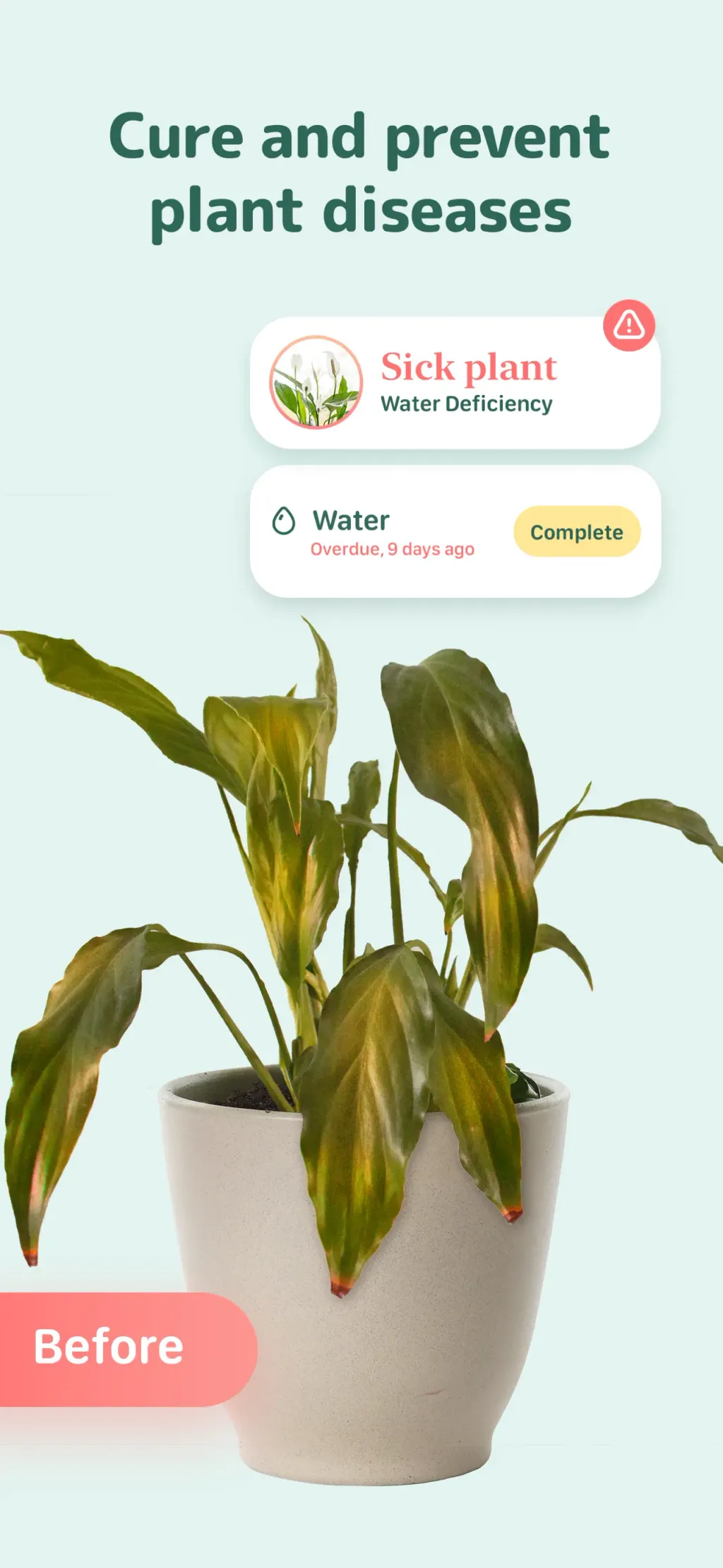 Blossom - Plant Care Guide App Store screenshot 1