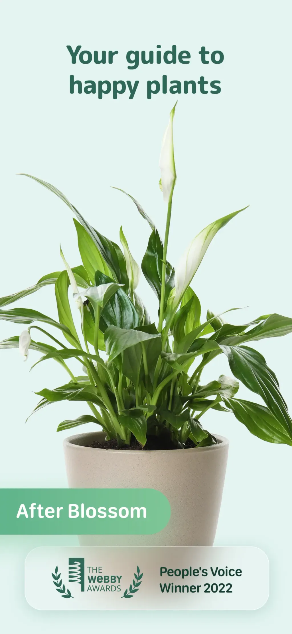 Blossom - Plant Care Guide screenshot 1