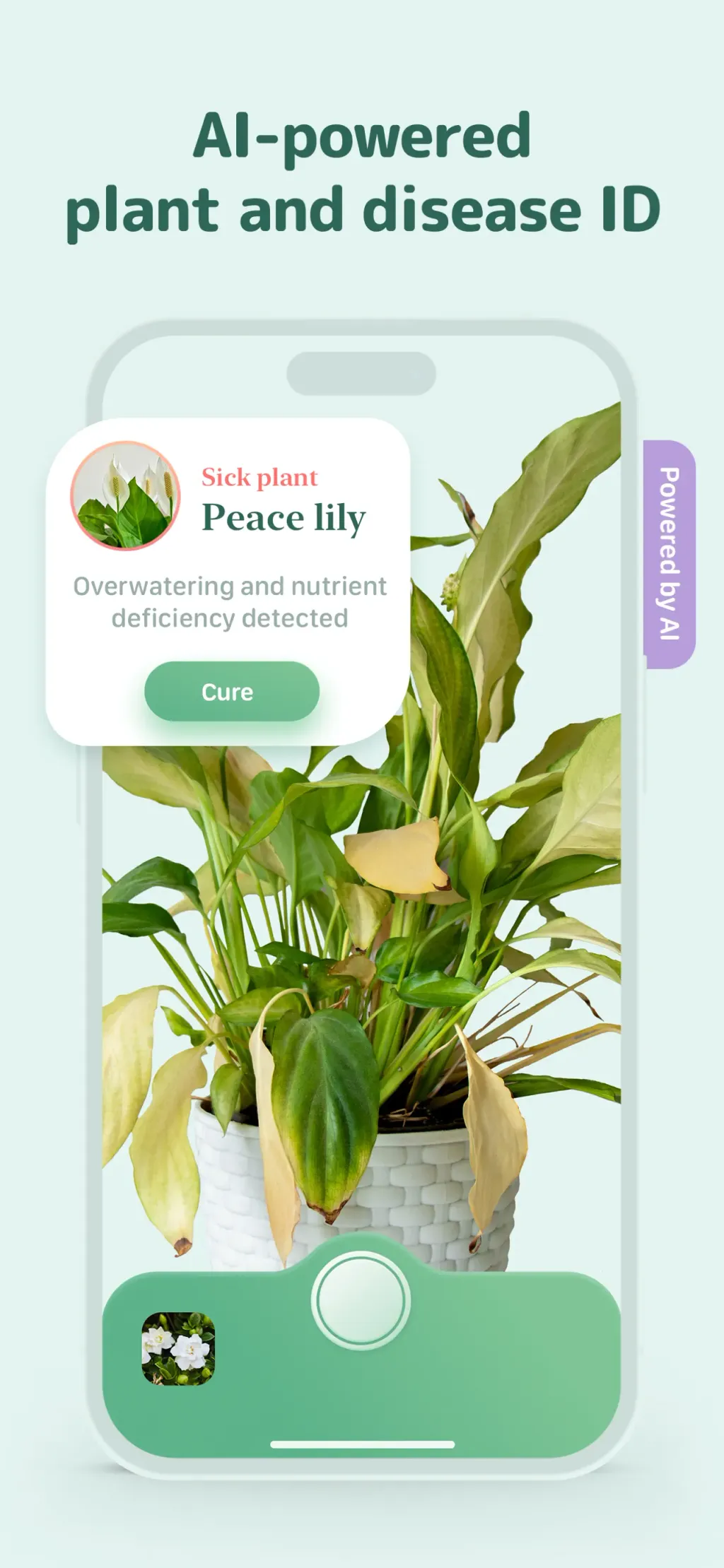 Blossom - Plant Care Guide App Store screenshot 5