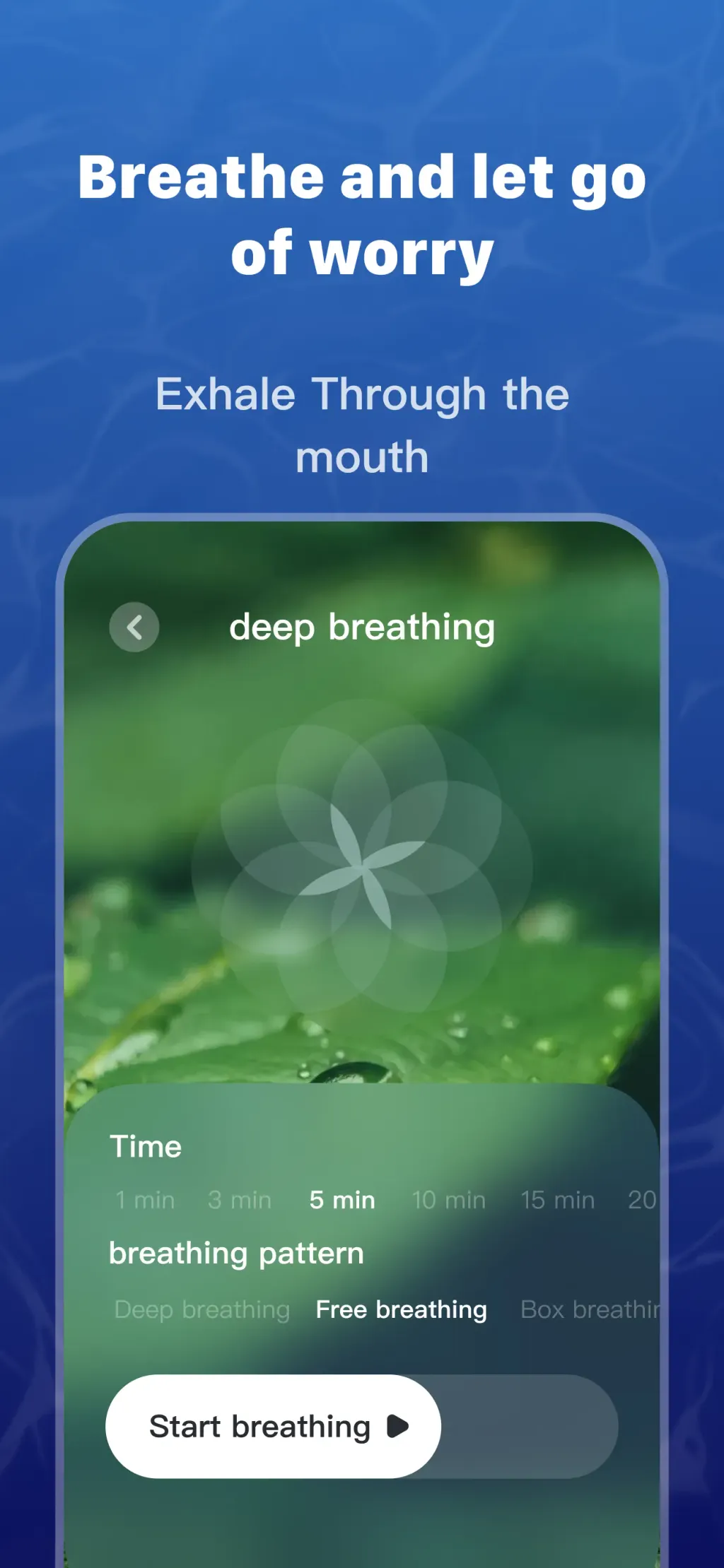 Brainpal: Heal & Meditation App Store screenshot 6