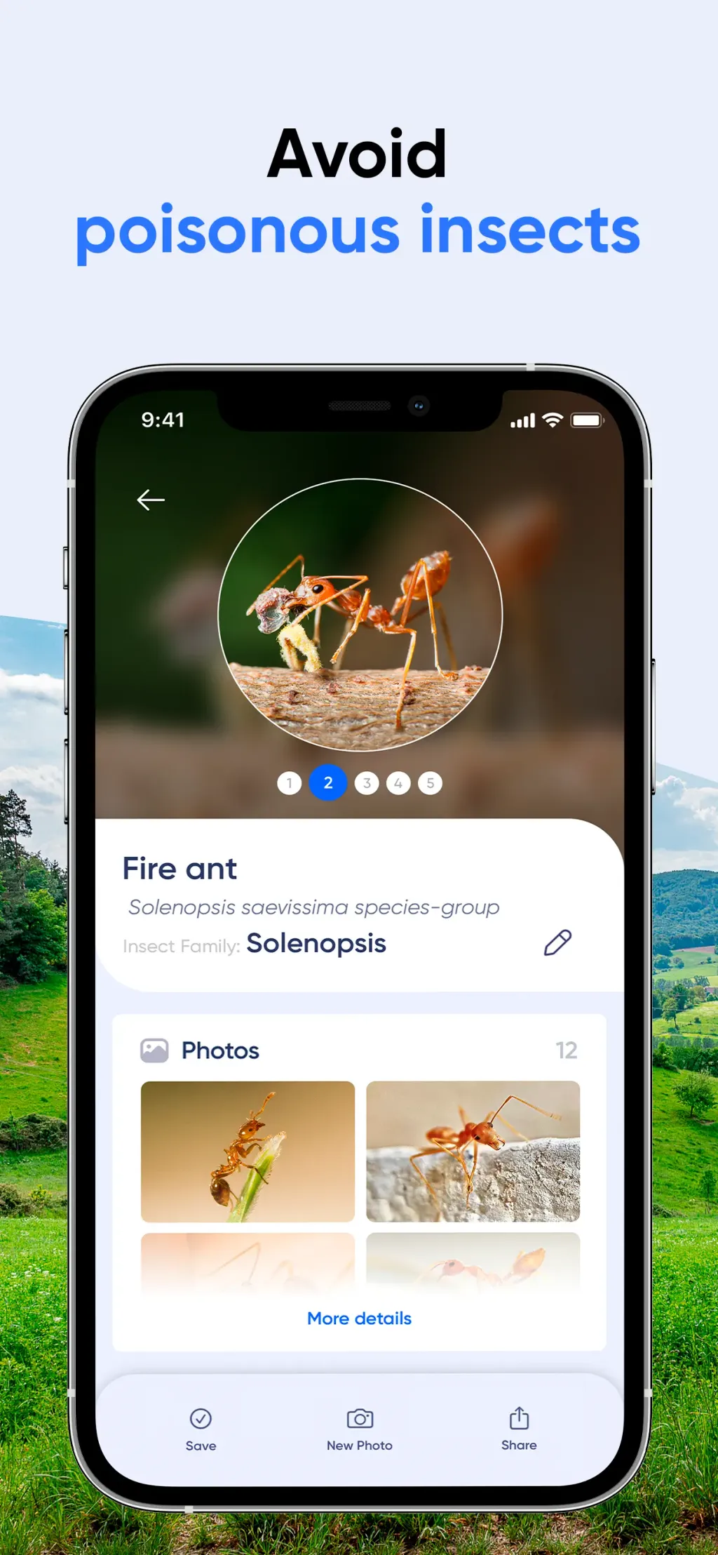 Bug Identifier: AI Insect id App Store screenshot 1