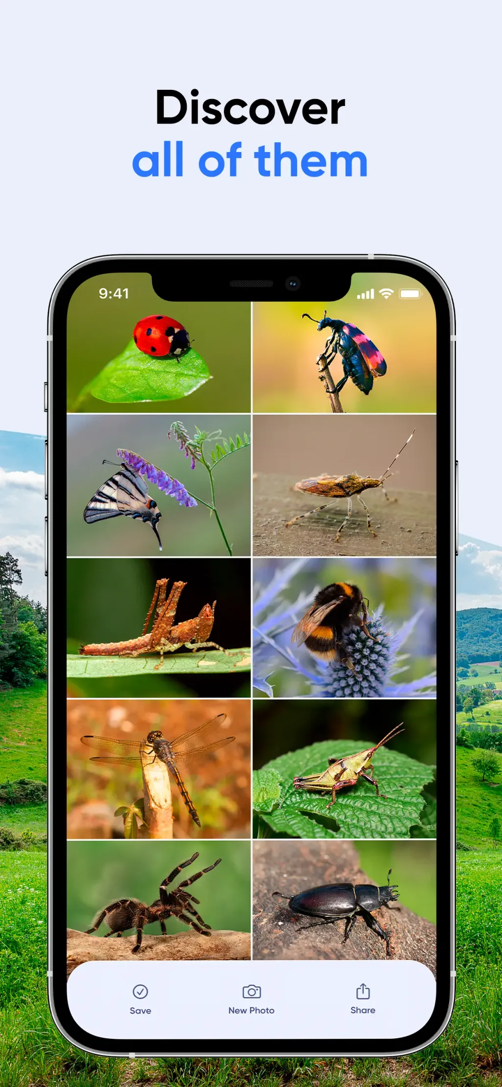 Bug Identifier: AI Insect id App Store screenshot 2