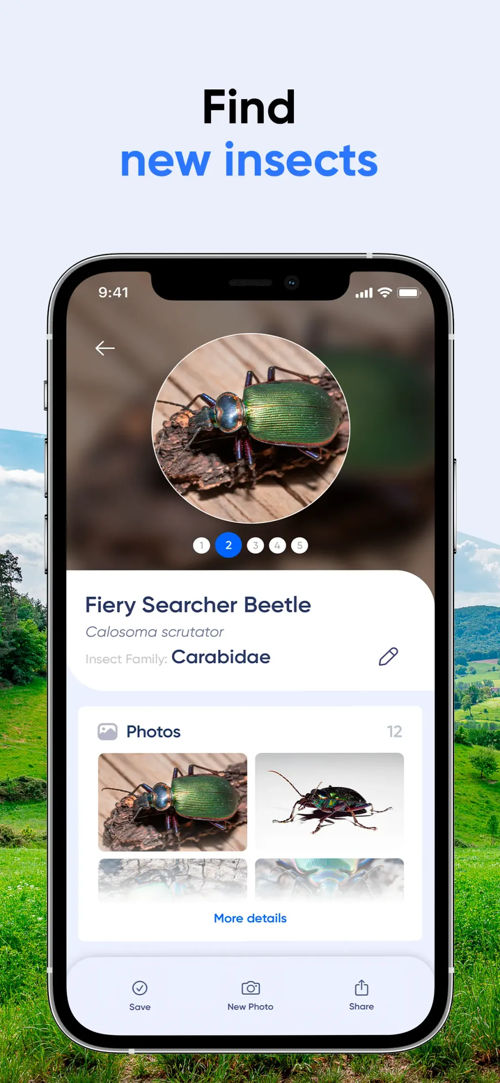Bug Identifier: AI Insect id App Store screenshot 4