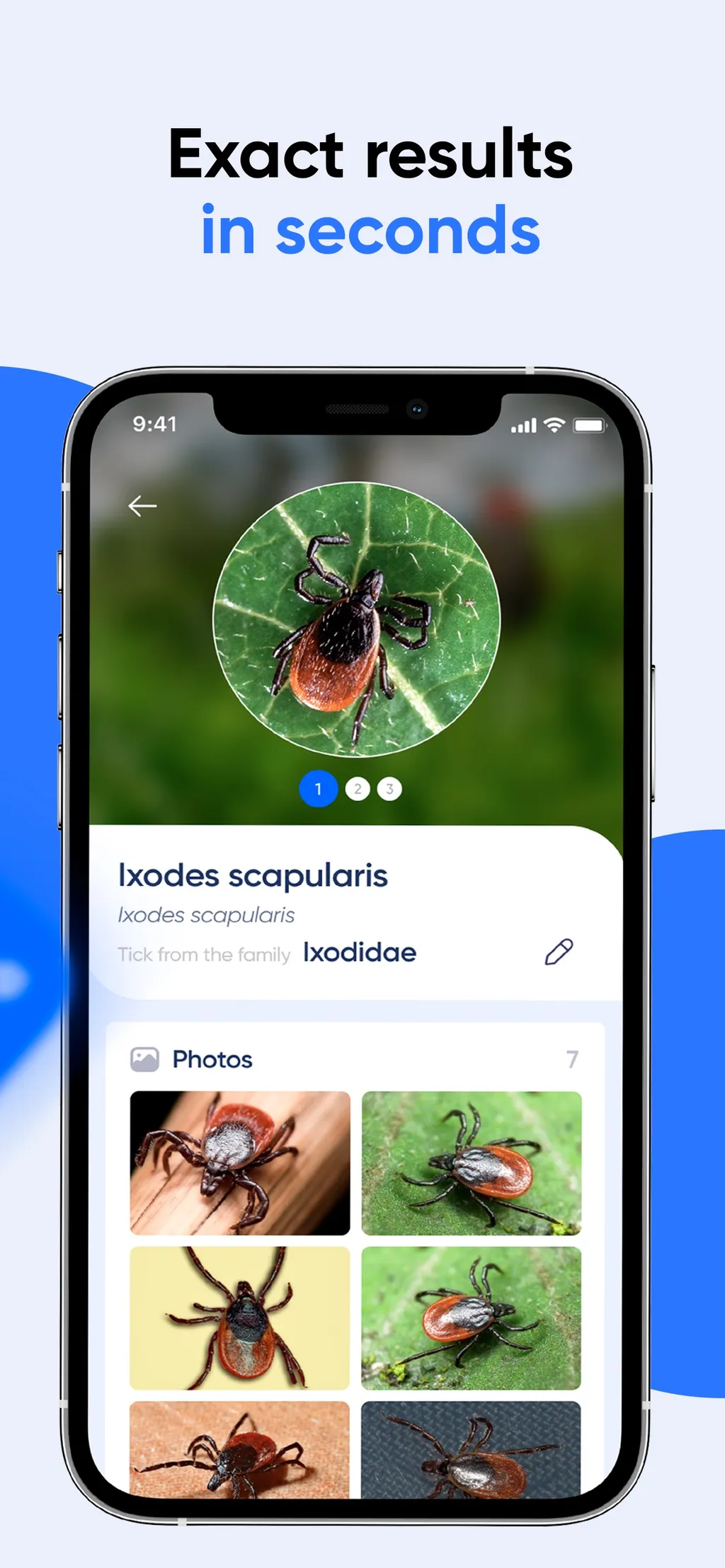 Bug Identifier: AI Insect id App Store screenshot 7