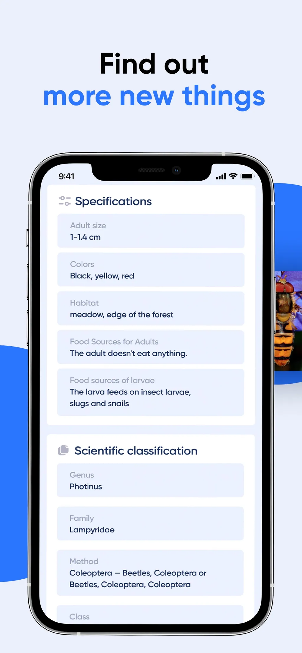 Bug Identifier: AI Insect id App Store screenshot 8