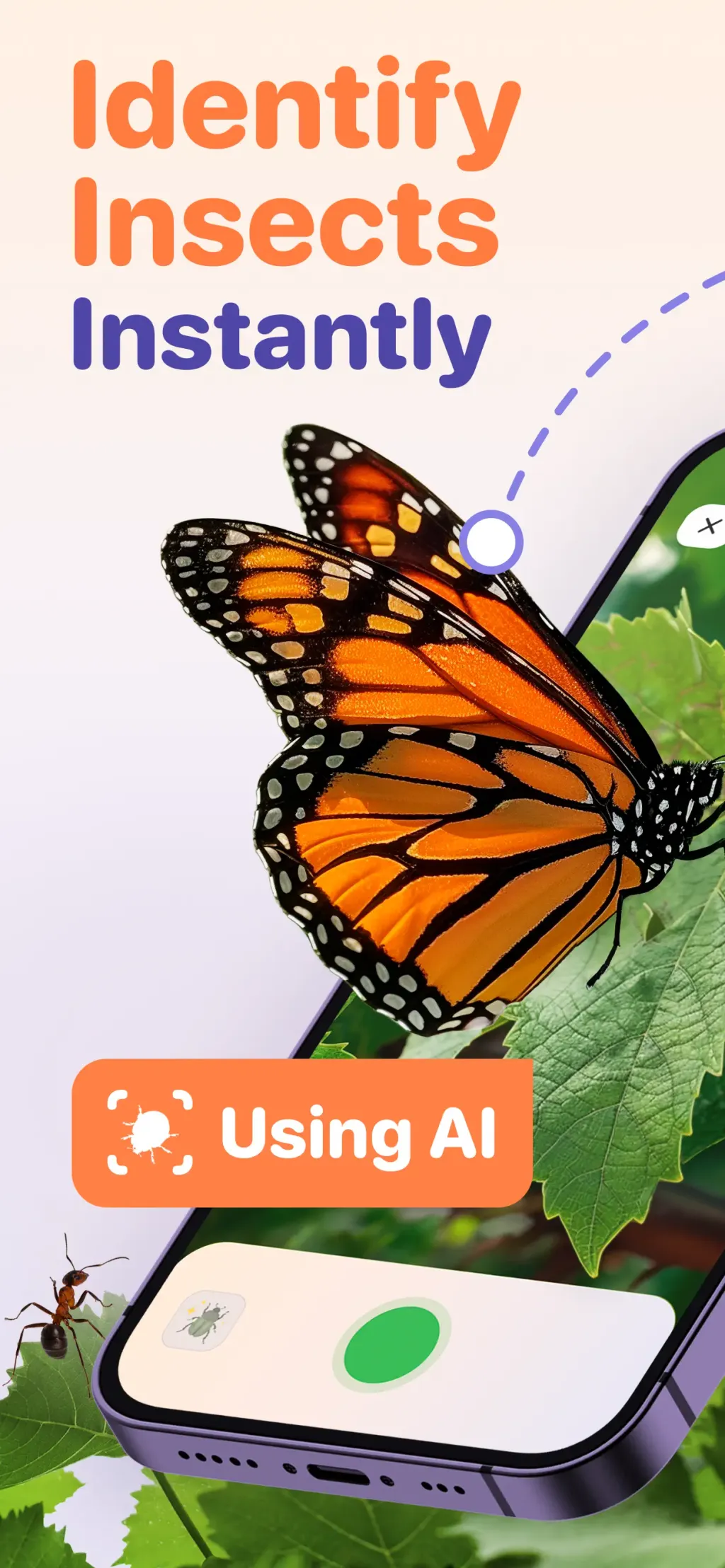 Bug ID - Insect Identifier App Store screenshot 1