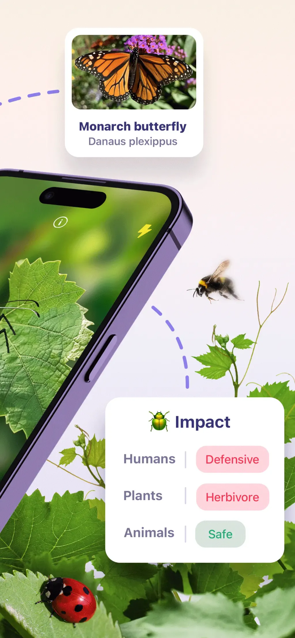 Bug ID - Insect Identifier App Store screenshot 2
