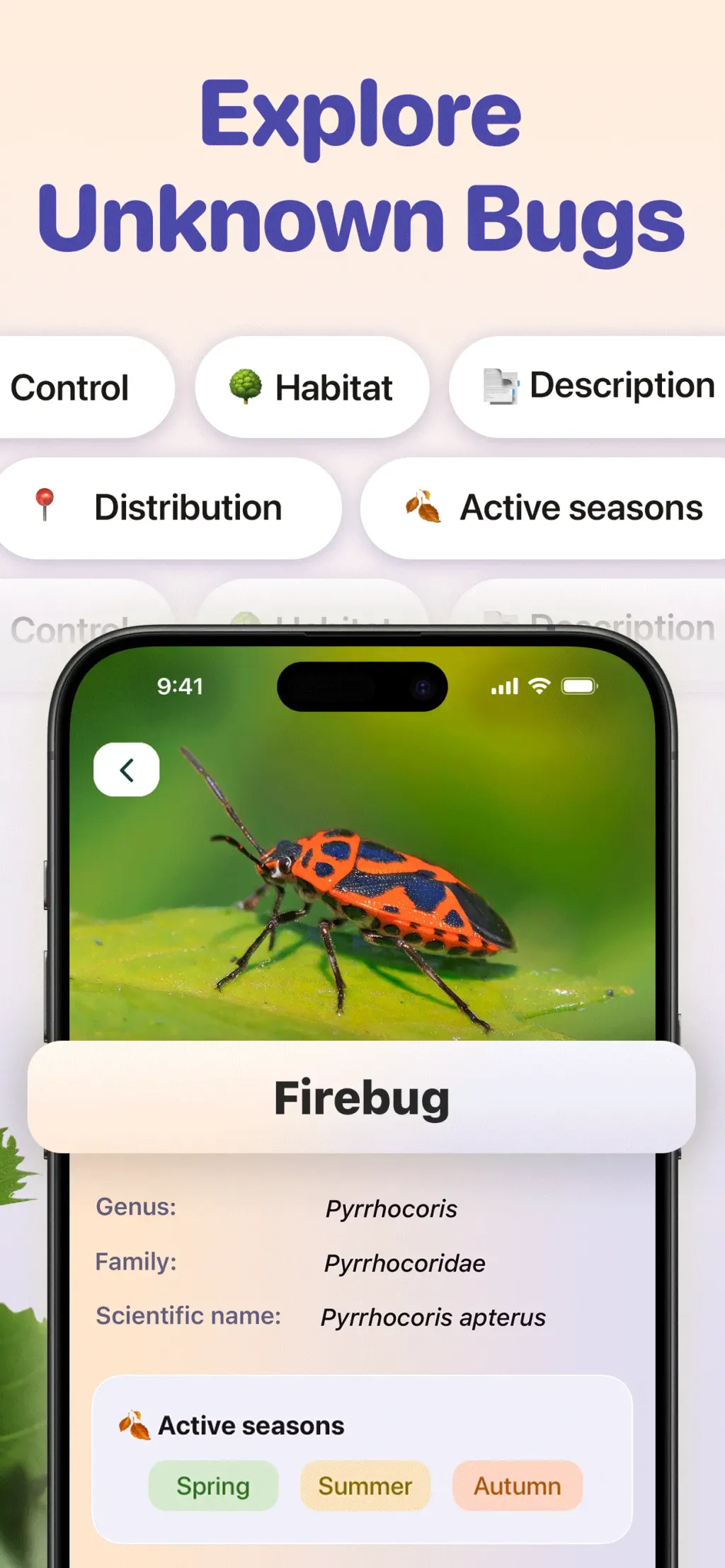 Bug ID - Insect Identifier App Store screenshot 3