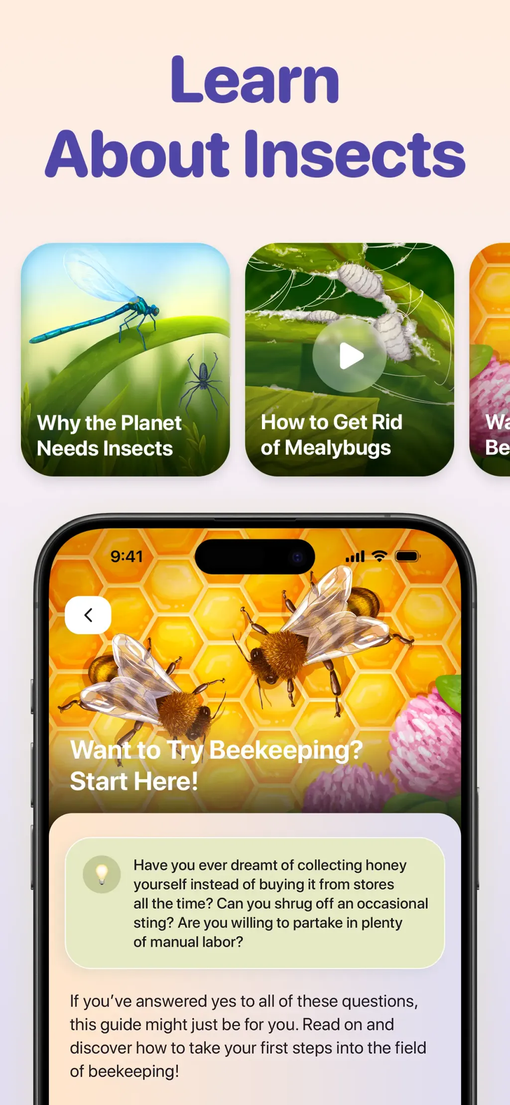 Bug ID - Insect Identifier App Store screenshot 4