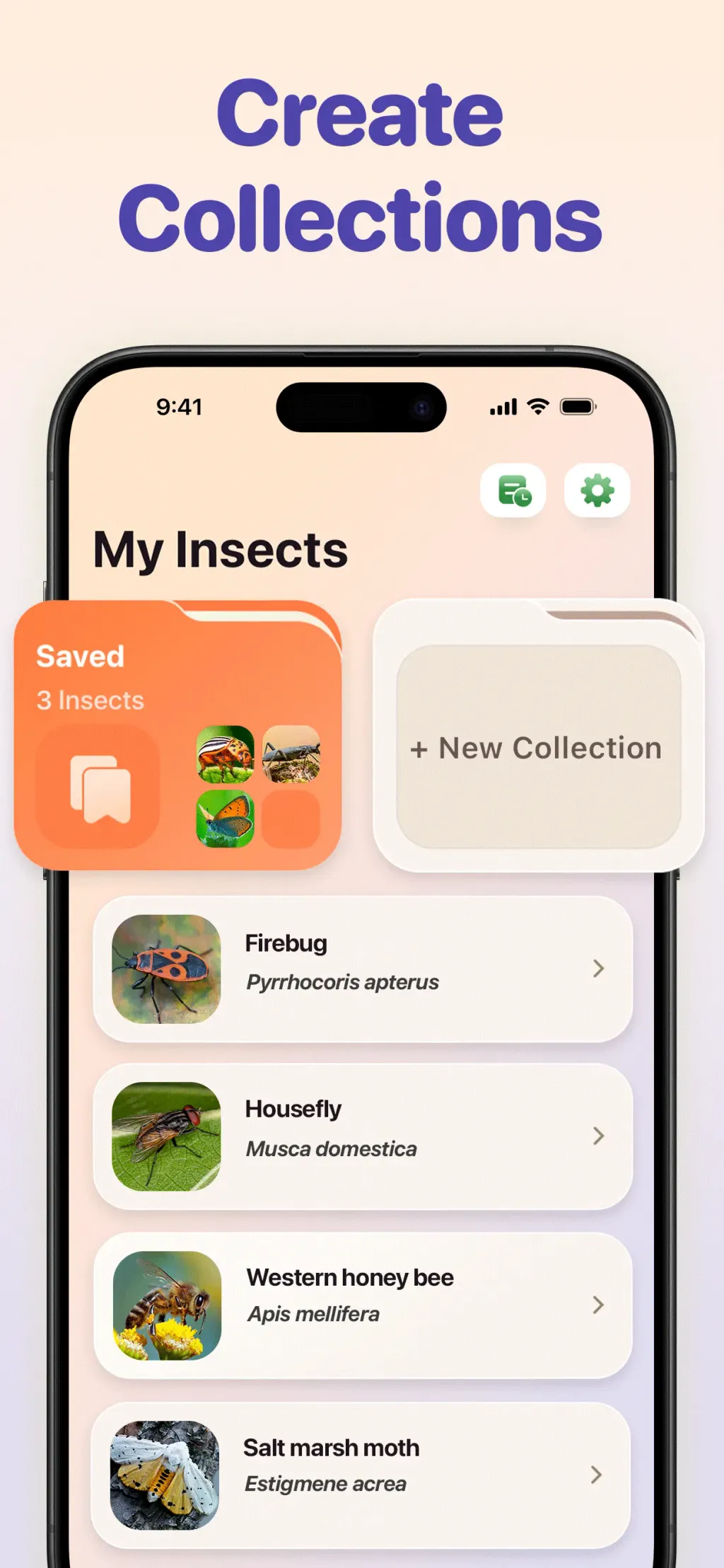 Bug ID - Insect Identifier App Store screenshot 6